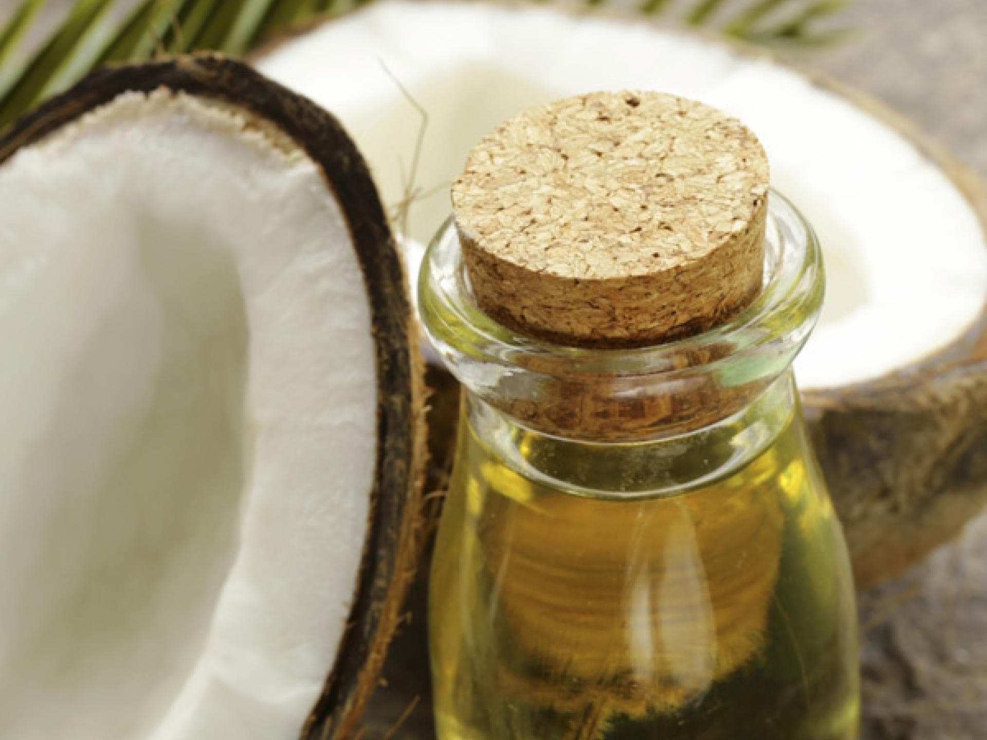 Kokosöl für trockene Haare Kokosöl für trockene Haare