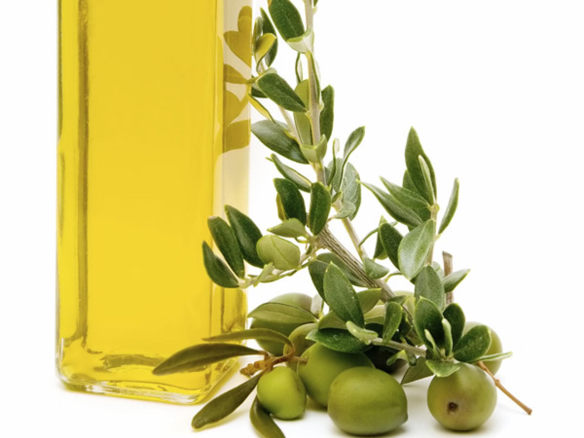 Olivenöl für trockene Haare