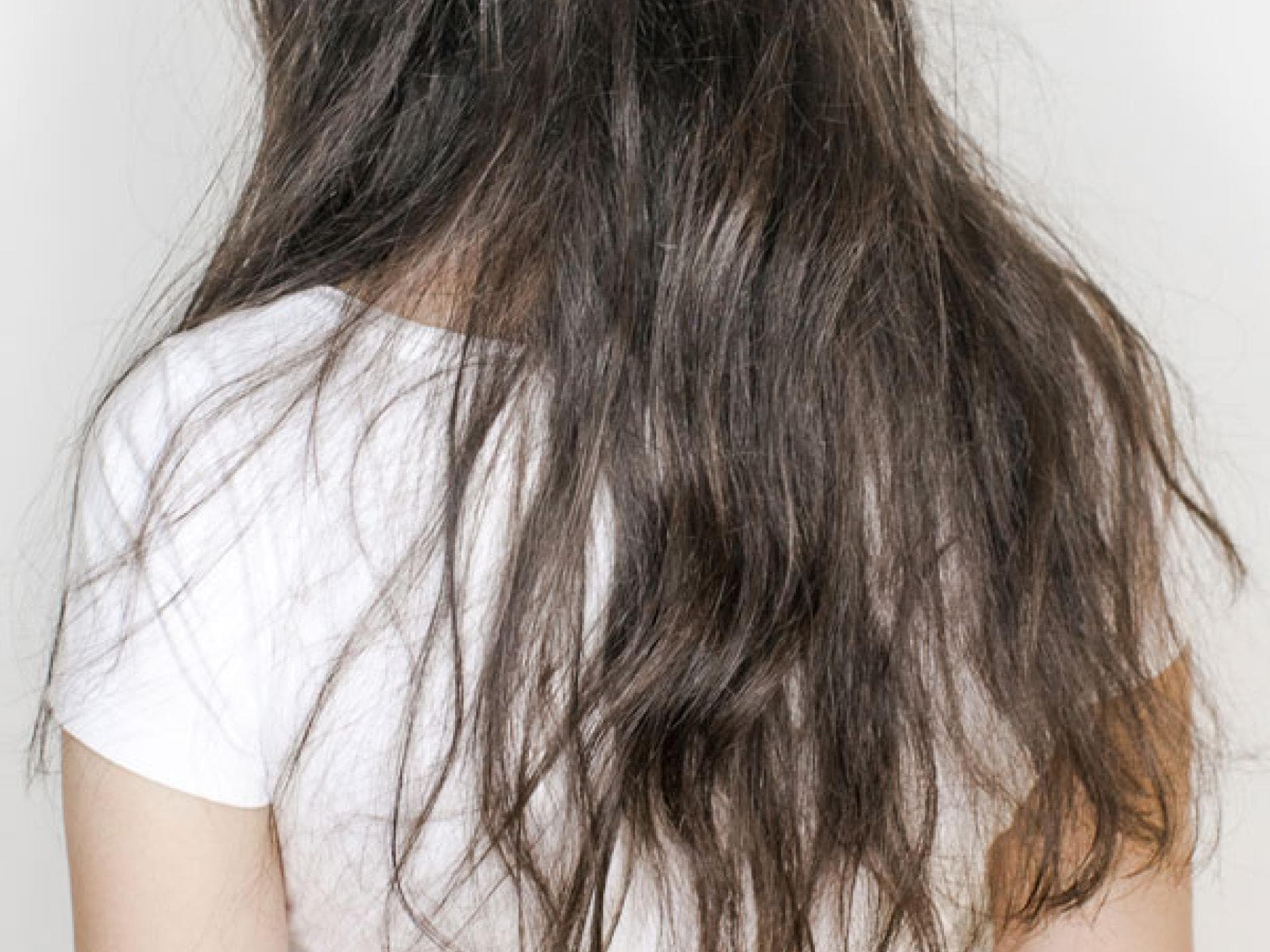 Geflochtener Scheitel von hinten Geflochtener Scheitel von hinten