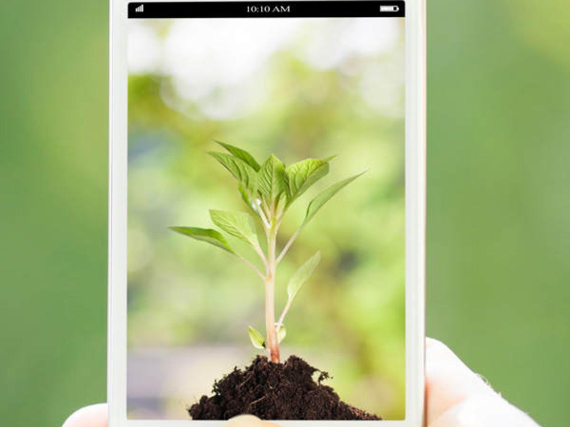 WhatsApp Hintergrund ändern