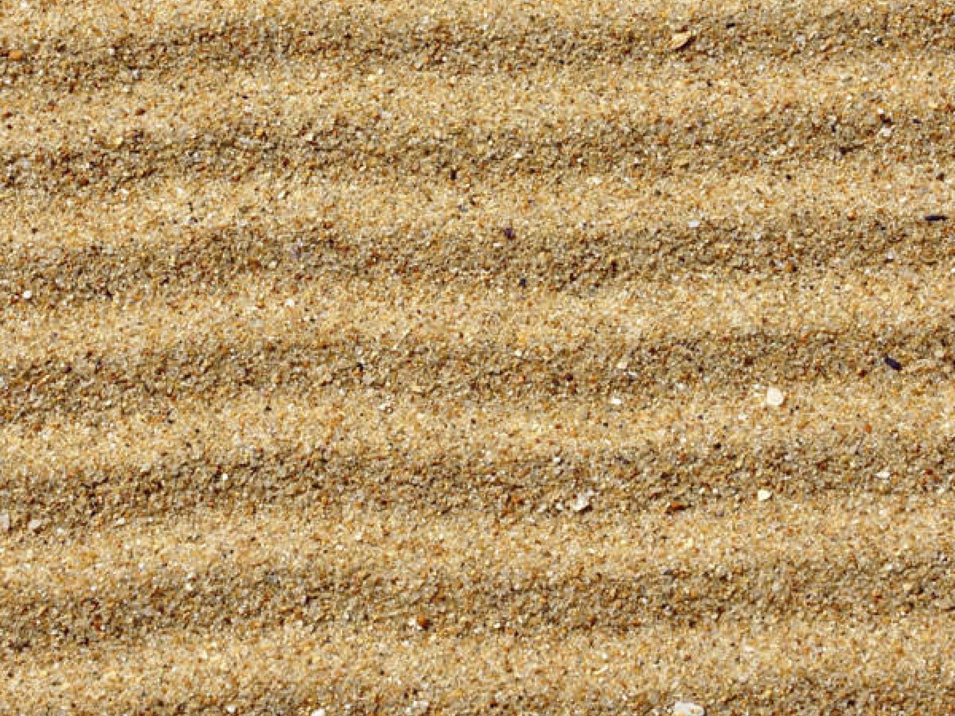 Brasilien legt den Fokus auf die Beine Brasilien legt den Fokus auf die Beine