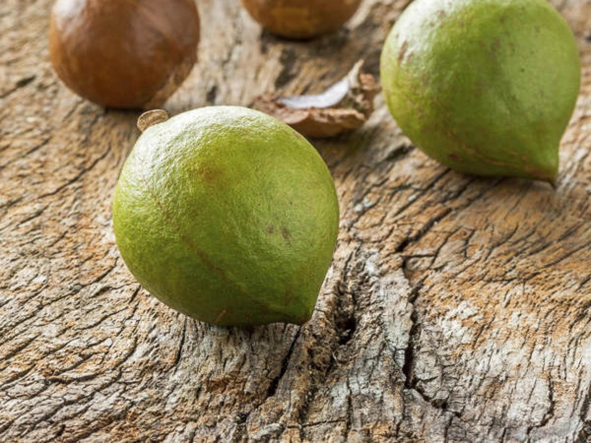Australien steht auf Teebaumöl Australien steht auf Teebaumöl