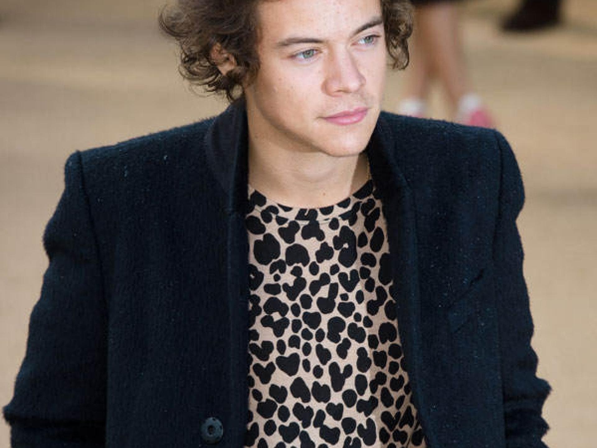 Harry Styles mit zurück gekämmten Haaren