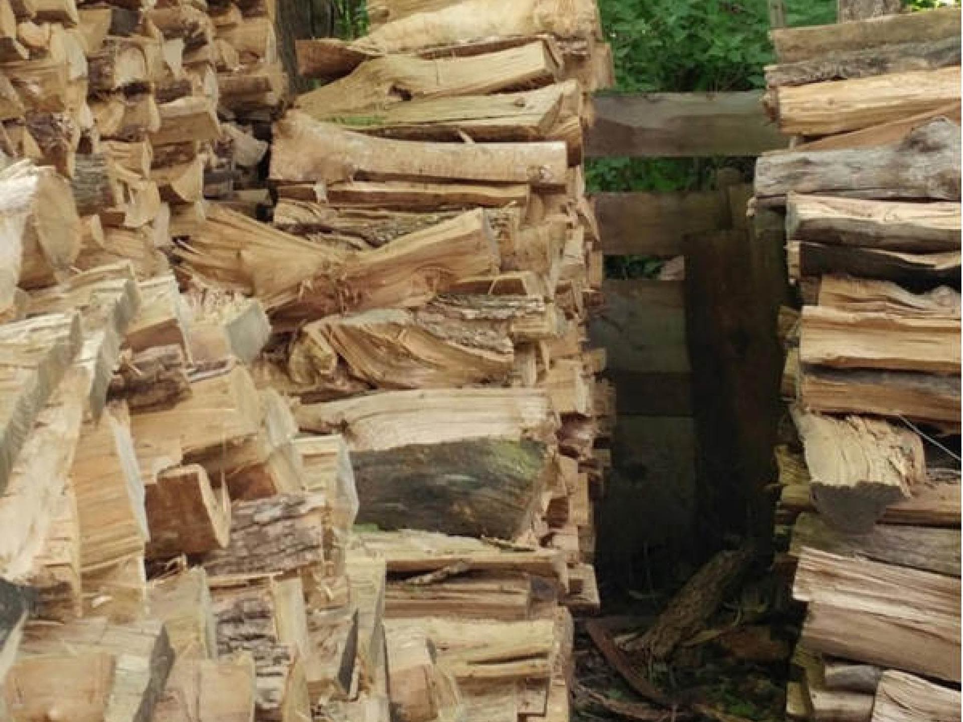 Wo ist die Katze? Wo ist die Katze?