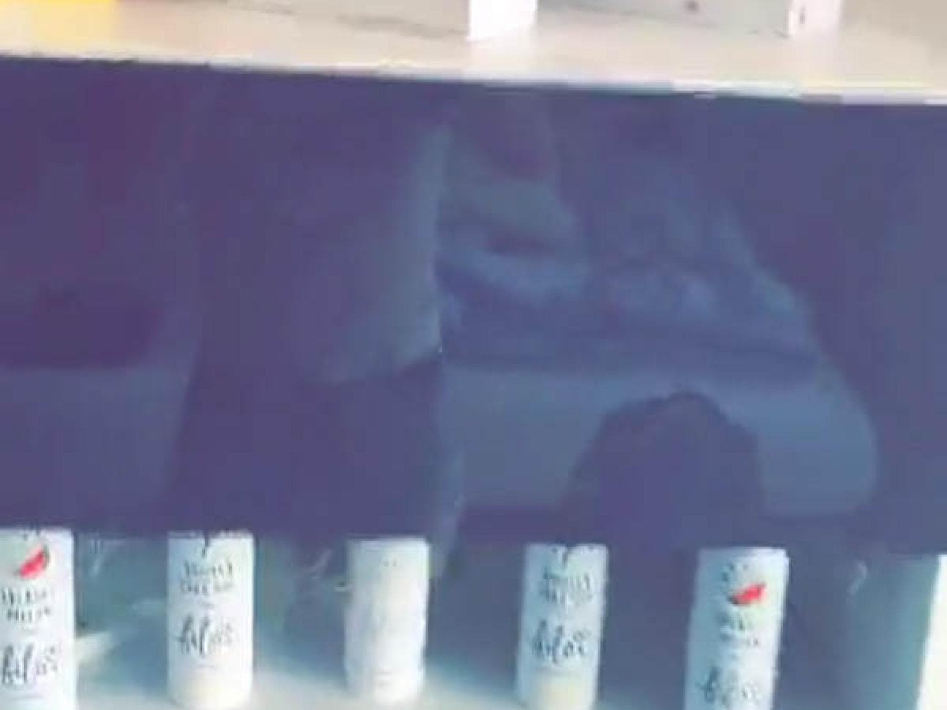 So sieht ein bilou-Schrein aus