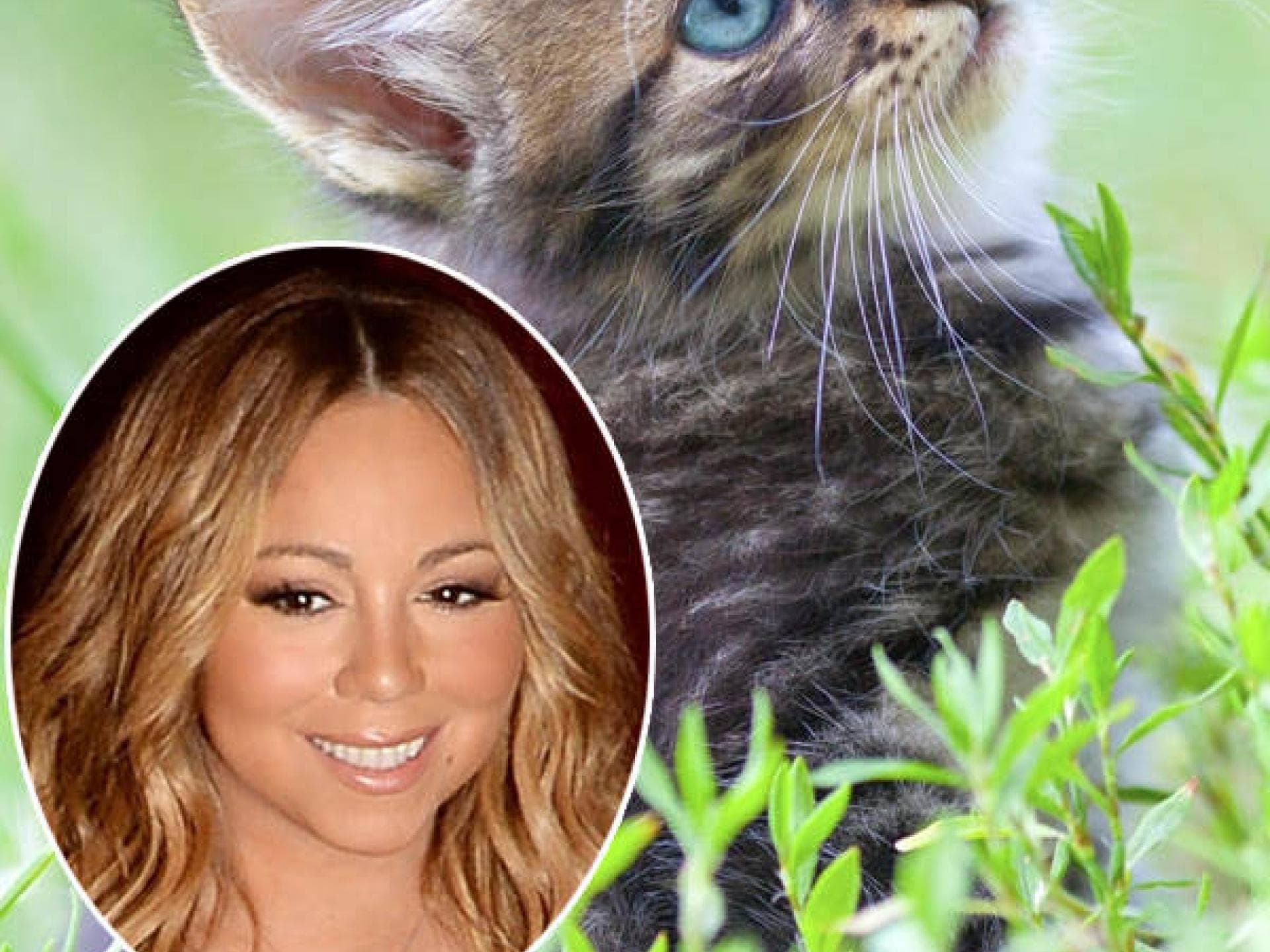 Mariah Carey: Starallüren-Königin