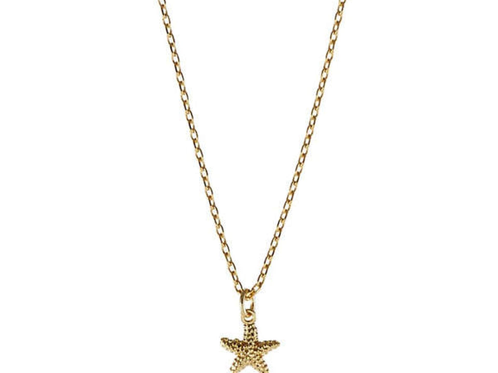 Seestern-Kette von Orelia