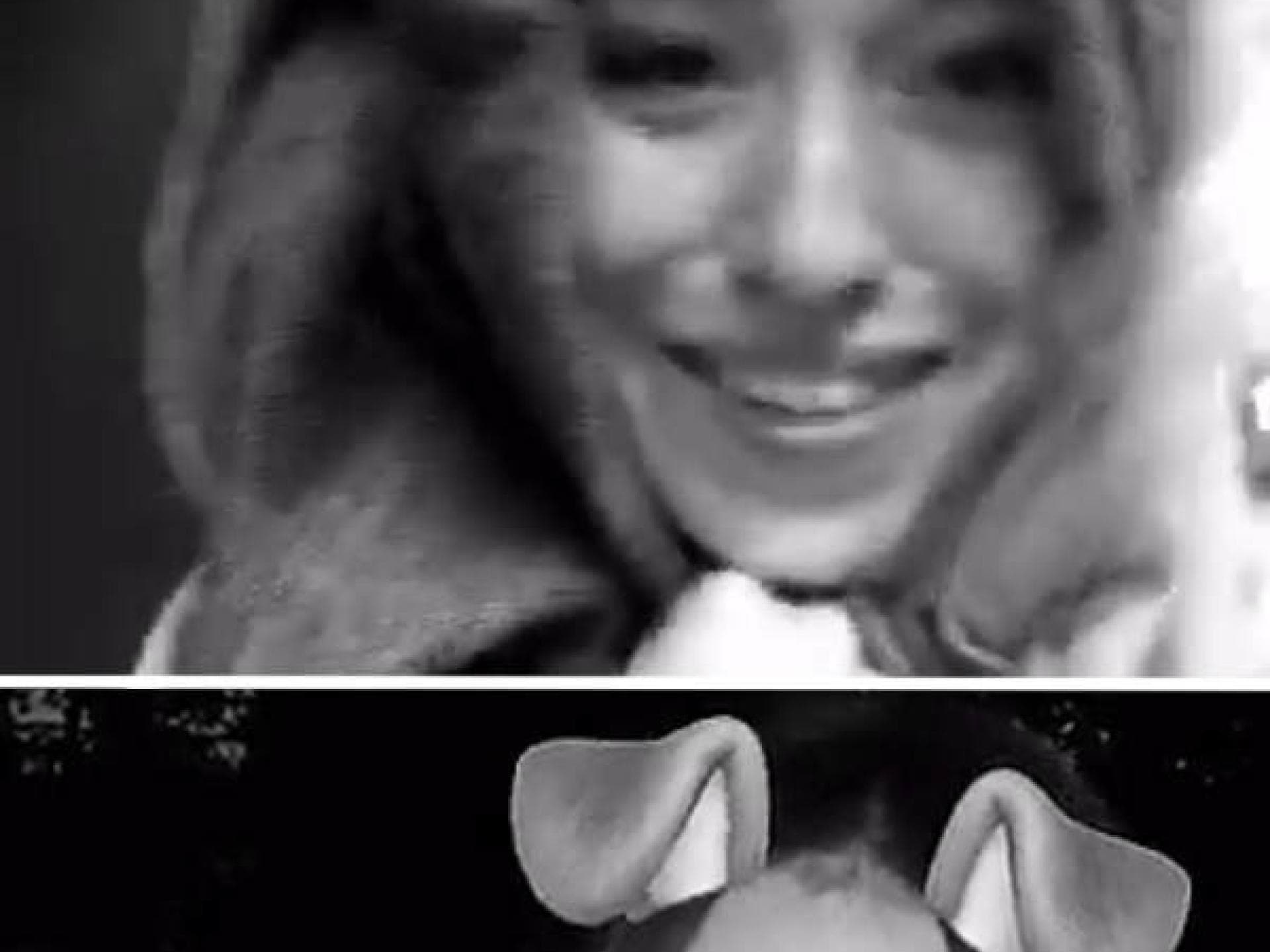 Hat Bibi ihre Haare dunkel gefärbt?