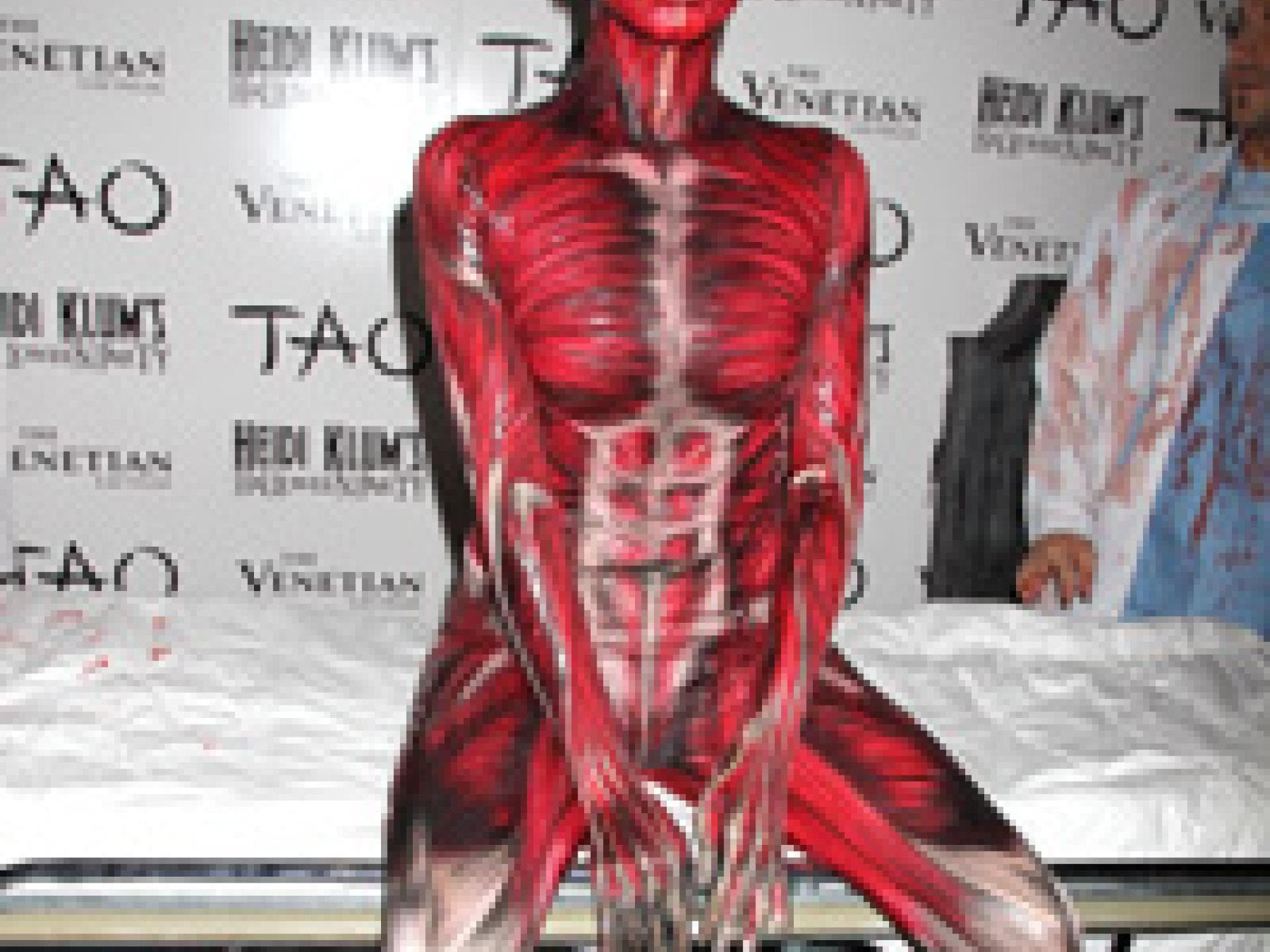 horror-halloween-der-stars-200x300-bild-1-1323528.jpg horror-halloween-der-stars-200x300-bild-1-1323528.jpg