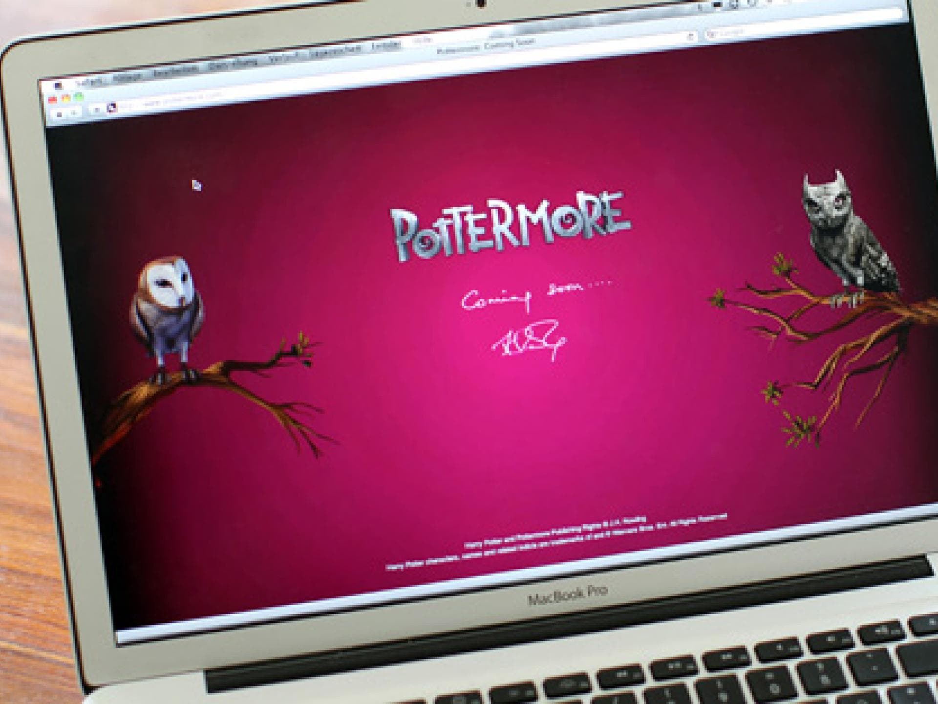 harry-potter-und-die-heiligtuemer-des-todes-trailer-teil-2-557x313-bild-1-1183860.jpg harry-potter-und-die-heiligtuemer-des-todes-trailer-teil-2-557x313-bild-1-1183860.jpg