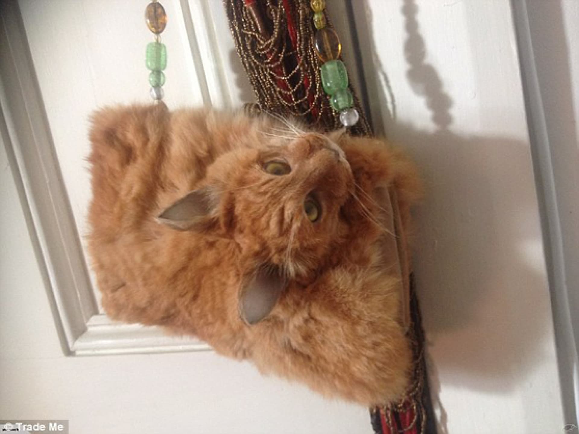 trade-me-tasche-aus-katzenfell-2133728.png