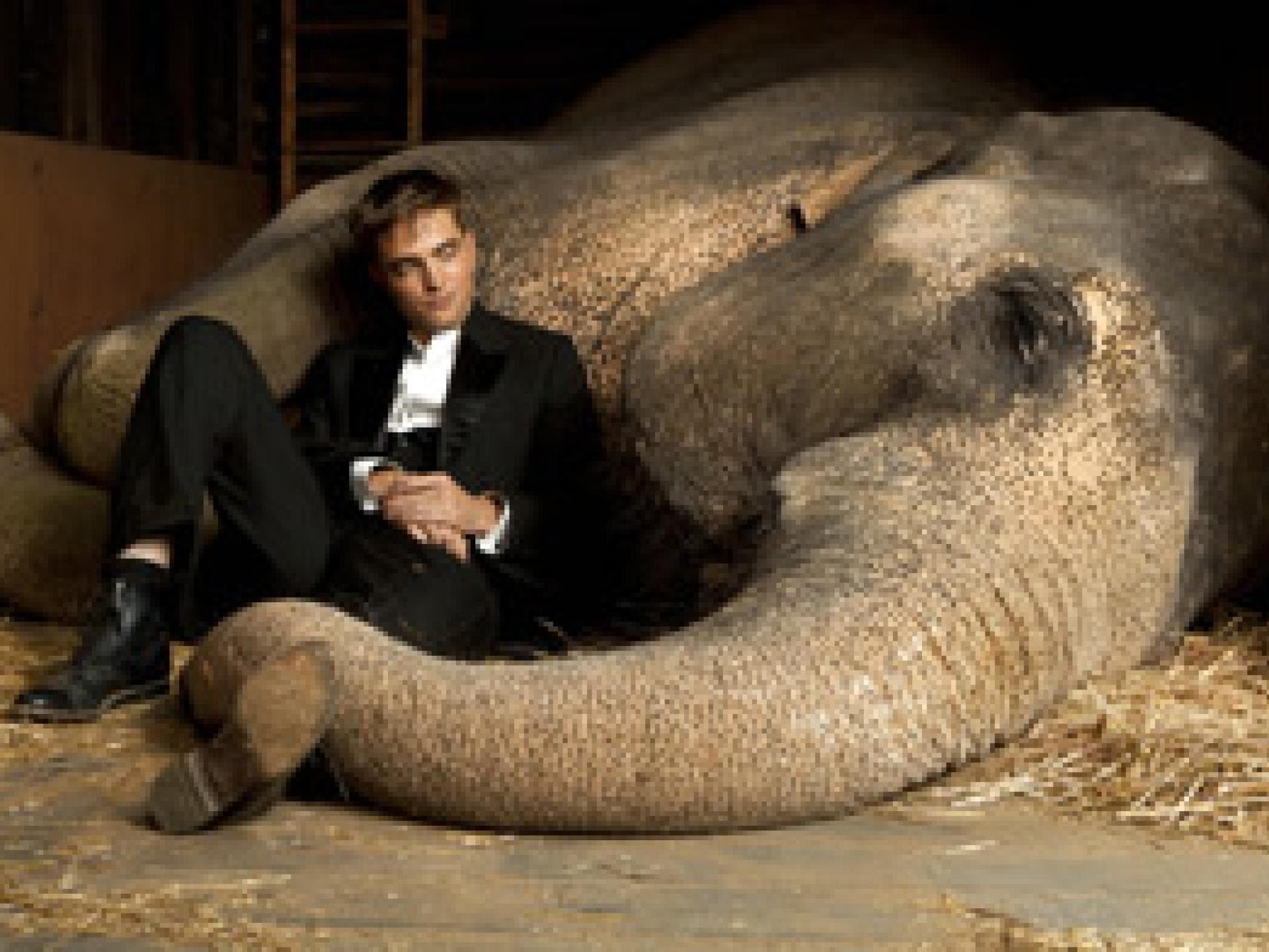 szenenbilder-robert-pattinson-in-wasser-fuer-die-elefanten-275x196-bild-2-1071653.jpg szenenbilder-robert-pattinson-in-wasser-fuer-die-elefanten-275x196-bild-2-1071653.jpg