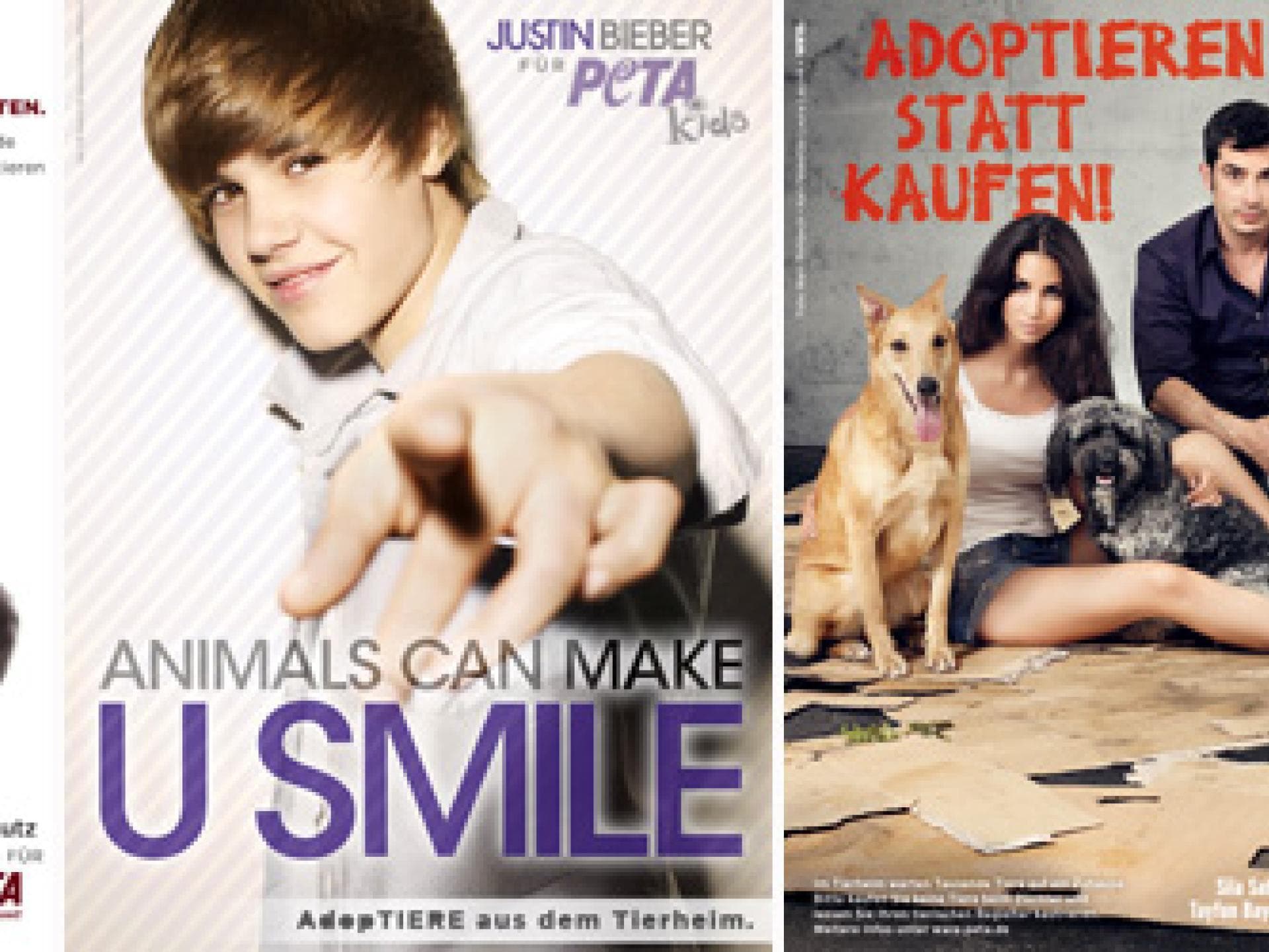 emma-stone-hat-ein-herz-fuer-tiere-557x250-bild-2-1044870.jpg