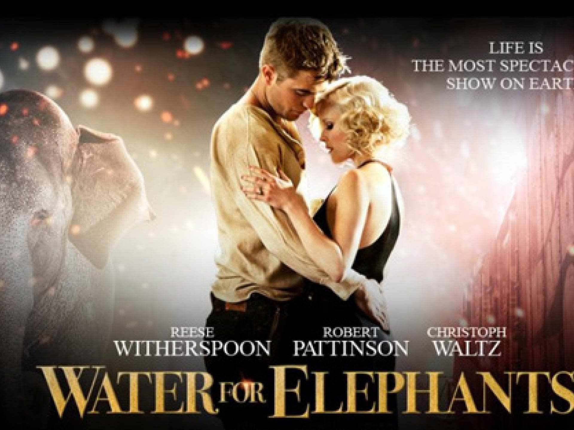 robert-pattinson-trailer-zu-wasser-fuer-die-elefanten-557x313-bild-1-988575.jpg robert-pattinson-trailer-zu-wasser-fuer-die-elefanten-557x313-bild-1-988575.jpg