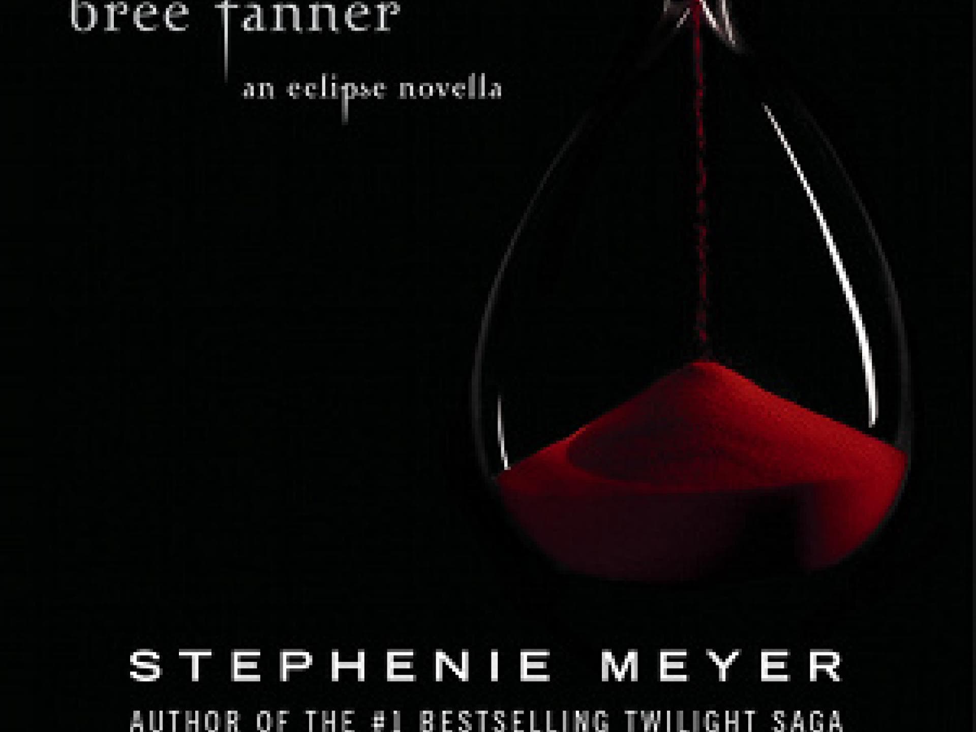 neues-bis-s-buch-von-stephenie-meyer-kommt-im-juni-300x453-bild-1-673596.jpg
