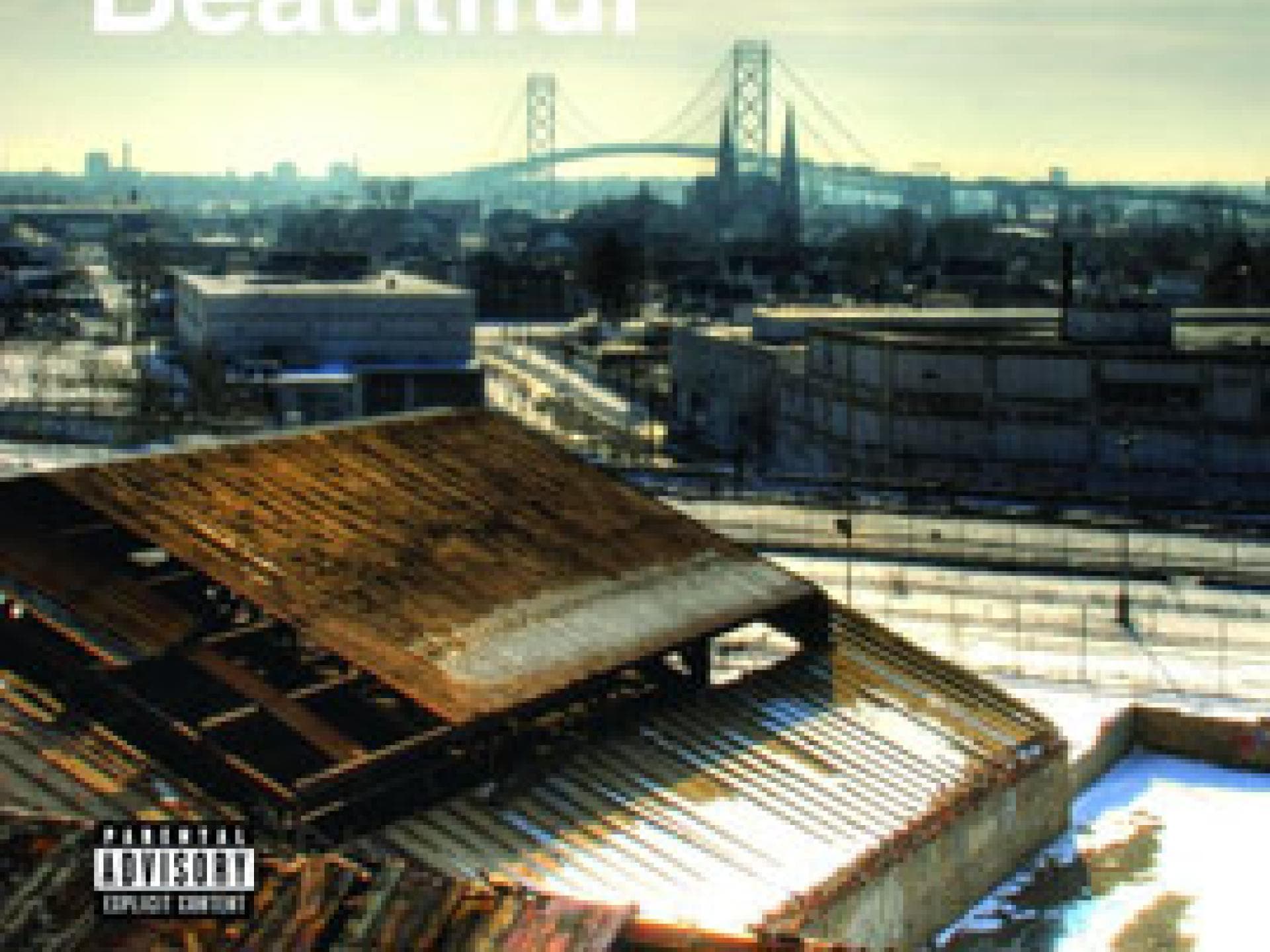 eminem-beautiful-270x270-bild-1-488403.jpg