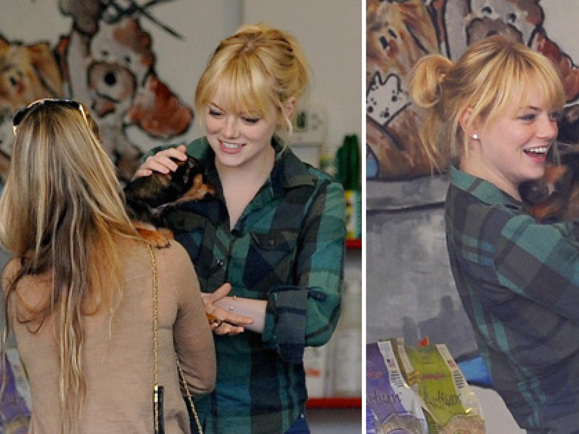 emma-stone-adoptiert-einen-hund-fotos-ddpimages-peta-557x313-1044870.jpg