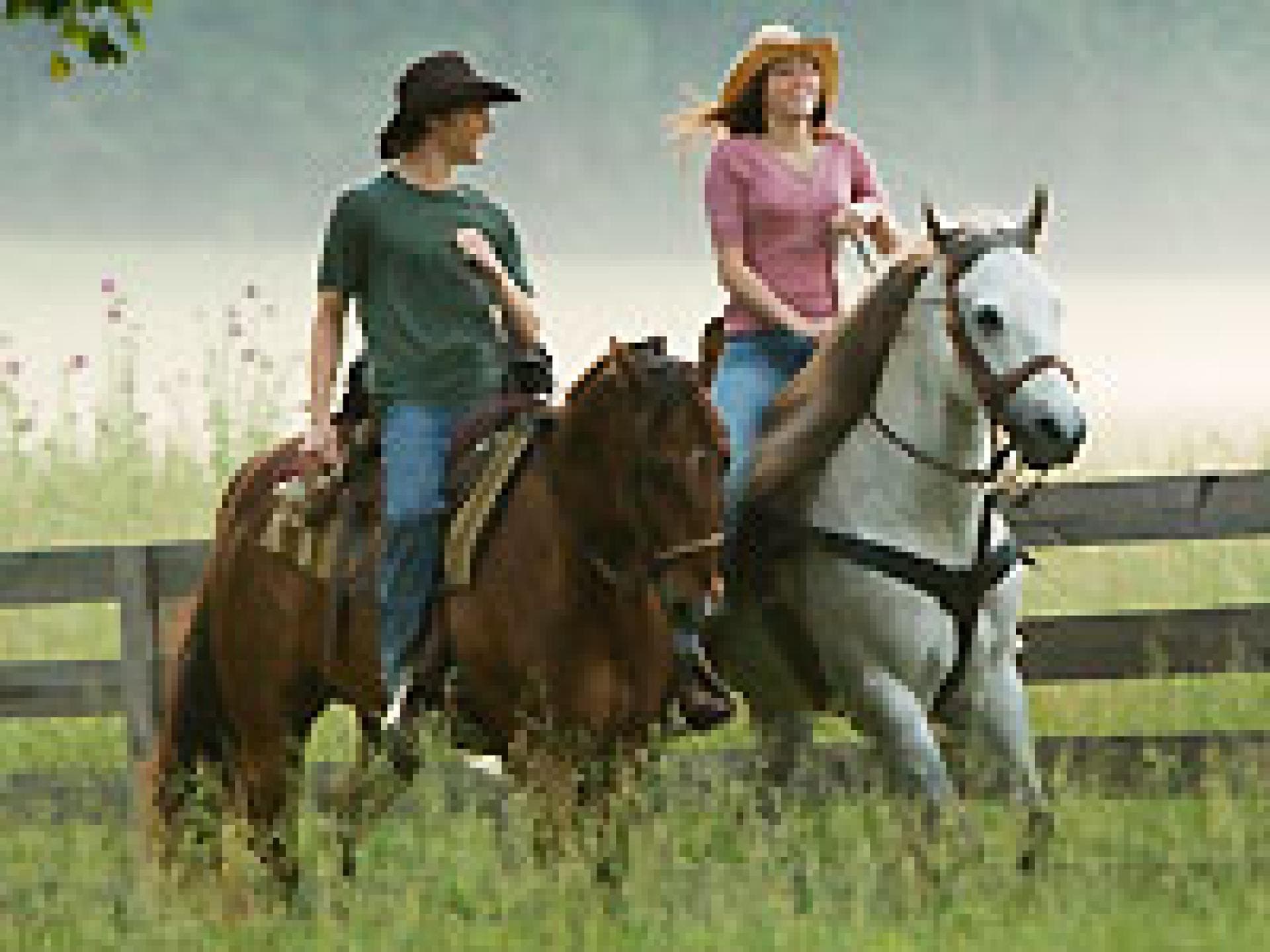 hannah-montana-der-film-200x150-bild-1-310426.jpg hannah-montana-der-film-200x150-bild-1-310426.jpg
