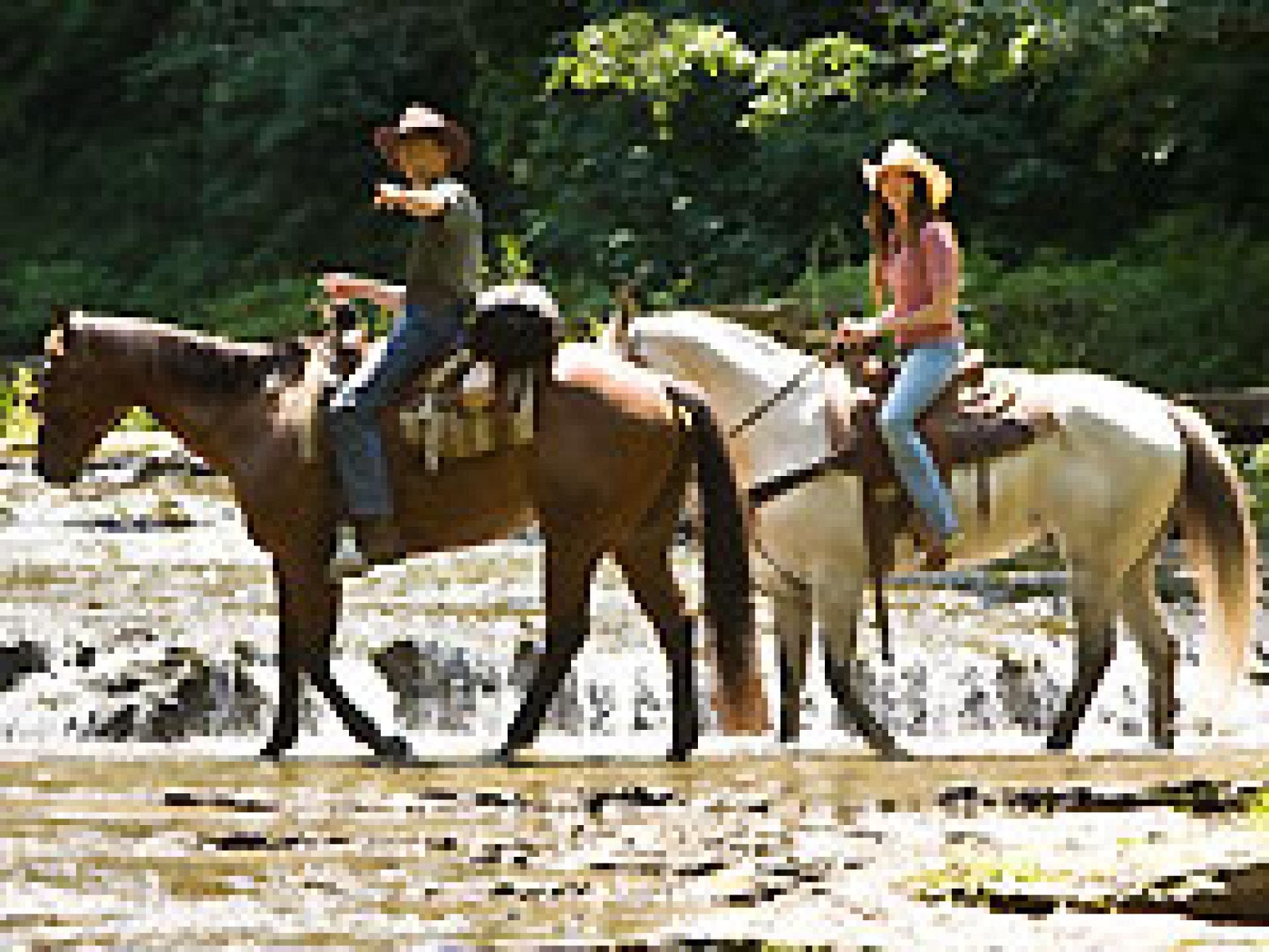 hannah-montana-der-film-200x150-bild-2-310426.jpg hannah-montana-der-film-200x150-bild-2-310426.jpg