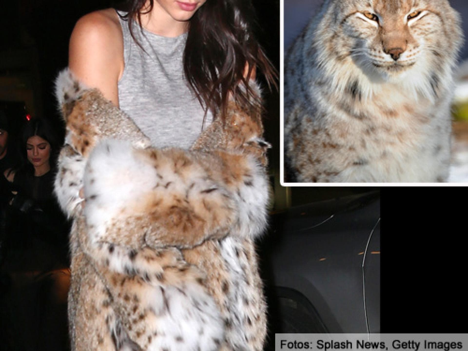 kendall-jenner-pelz-luchs-inline-2106851.jpg