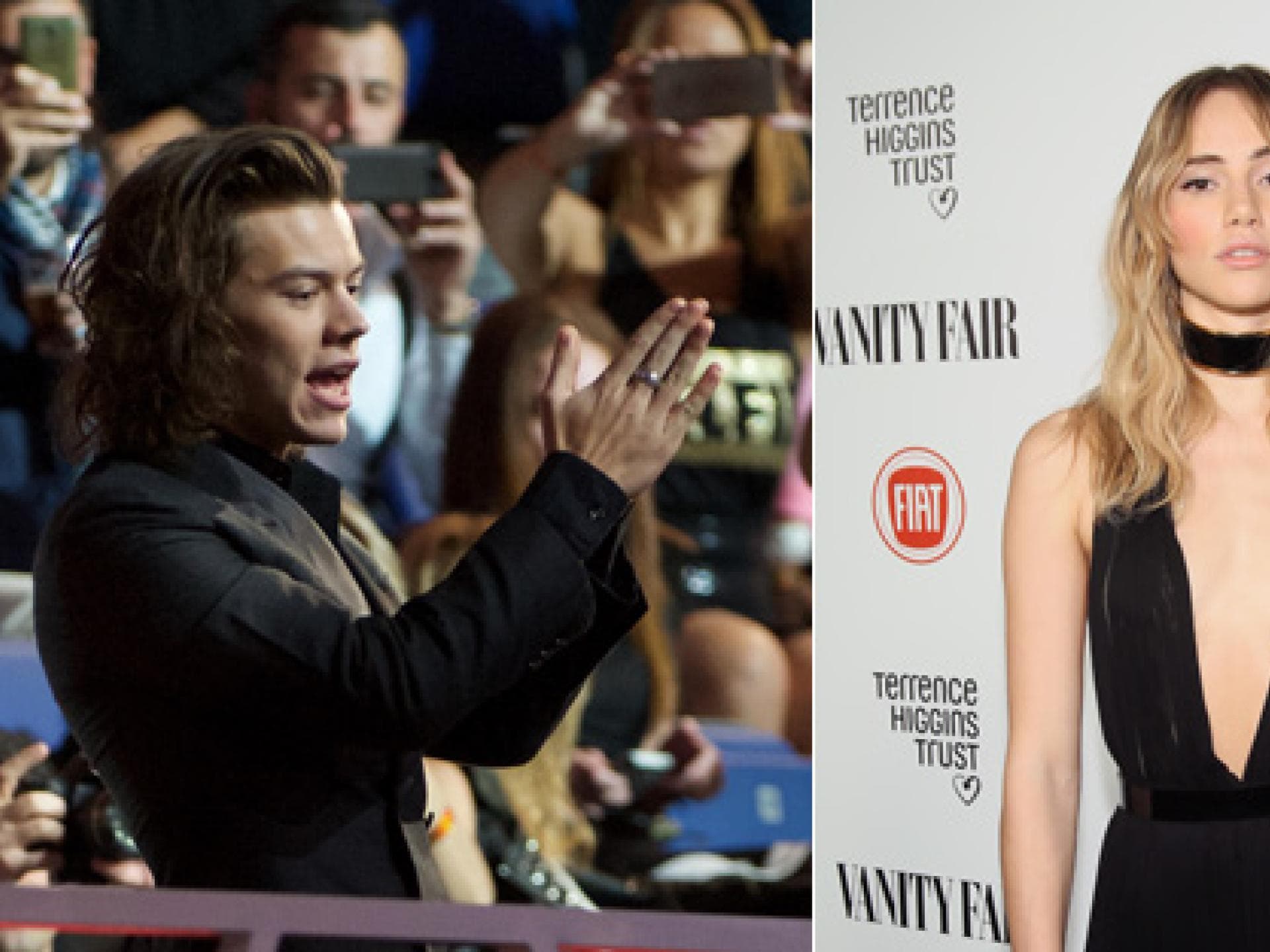harry-styles-suki-waterhouse-2042540.jpg harry-styles-suki-waterhouse-2042540.jpg
