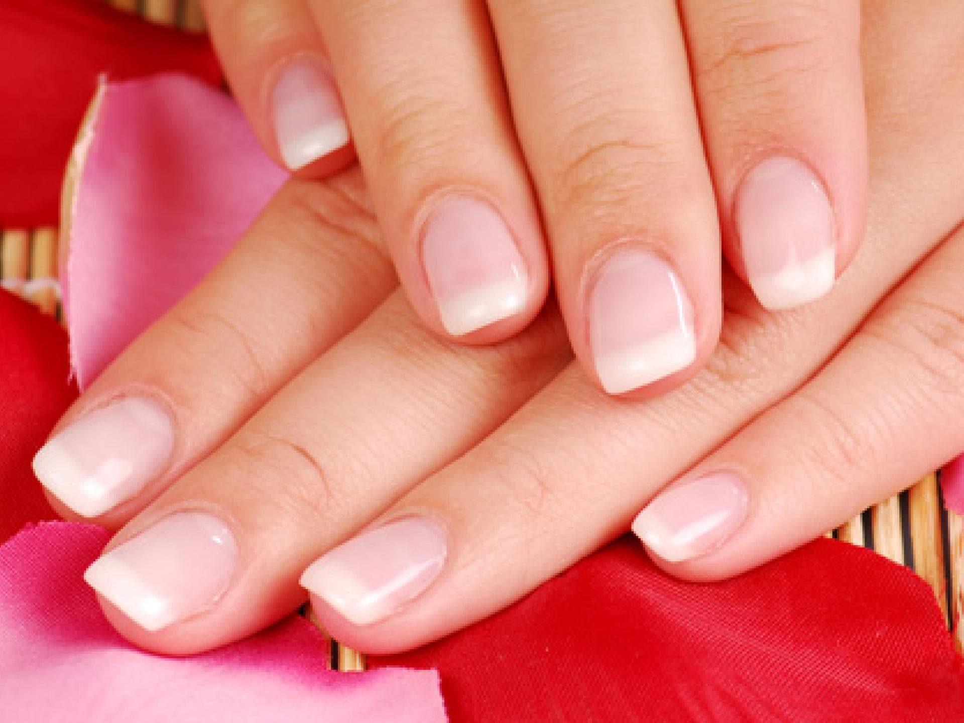 french-manicure-neu-557-425611.jpg