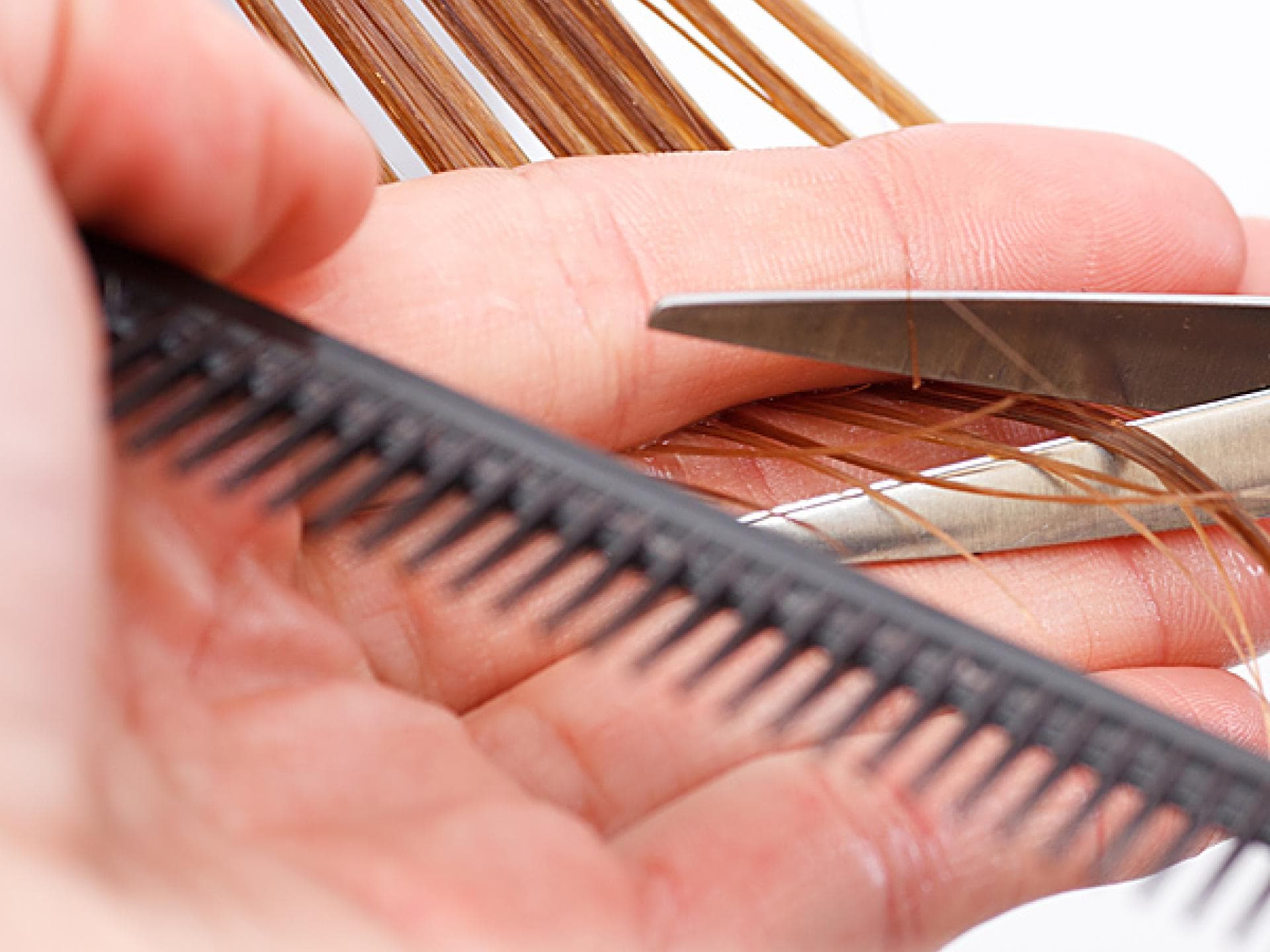 Regelmäßiges Spitzenschneiden Regelmäßiges Spitzenschneiden