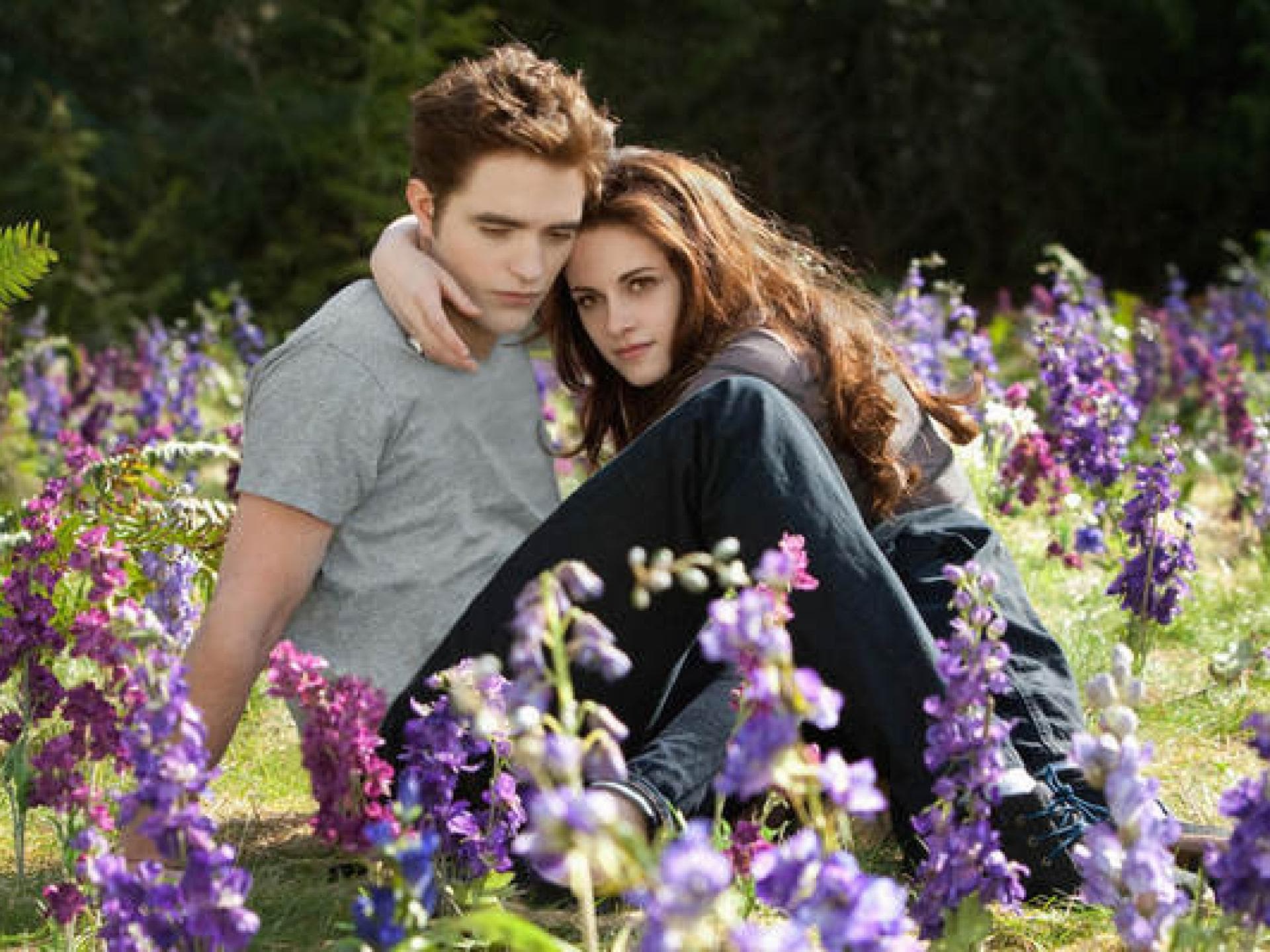Bella und Edward auf der Blumenwiese