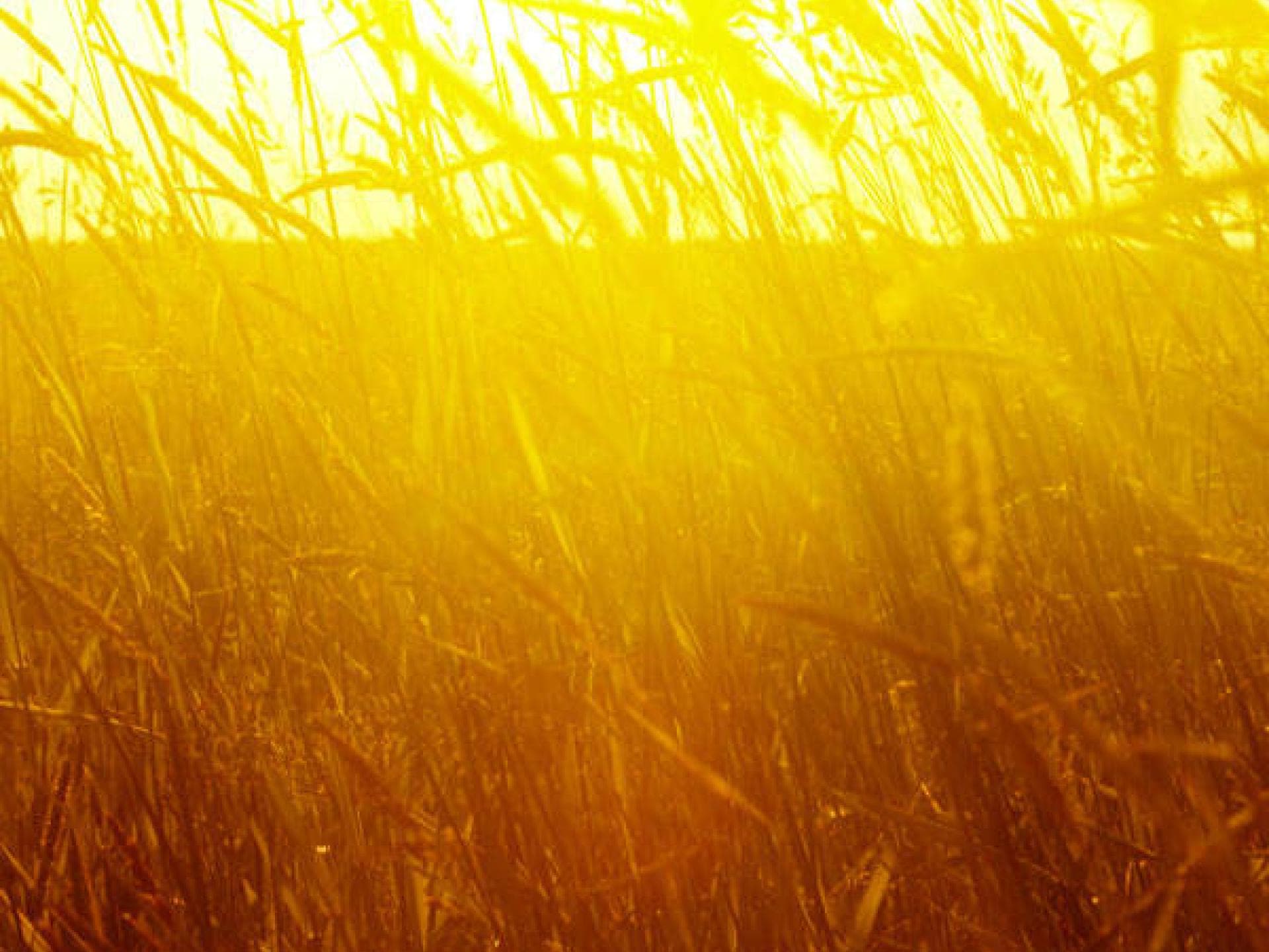 Gedicht über den Herbst Gedicht über den Herbst