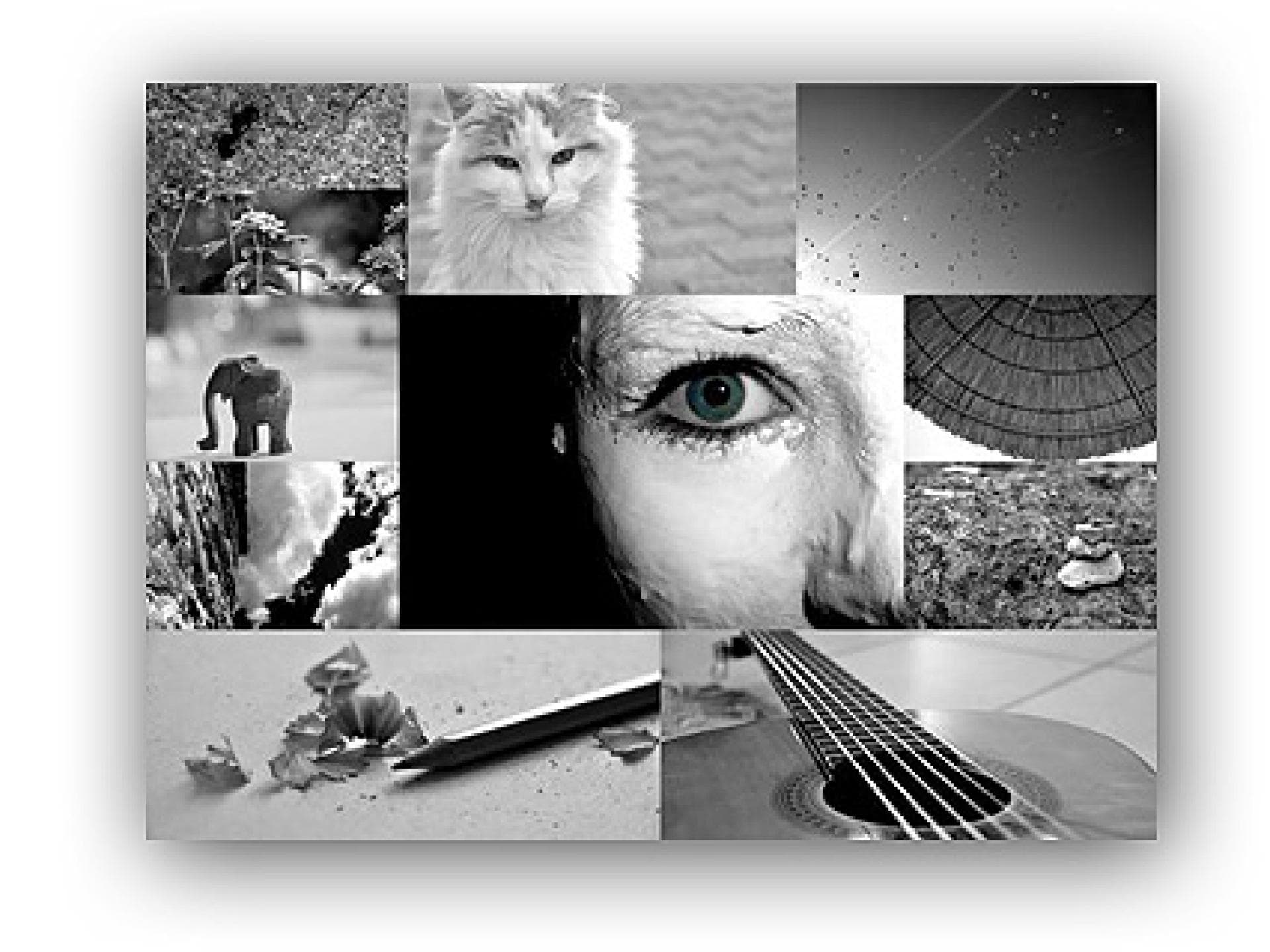 Viele tolle Glücksmomente