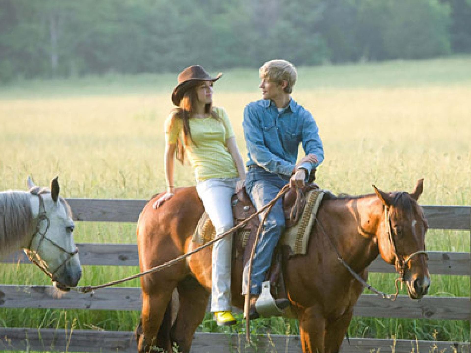 stars miley cyrus stargalerie