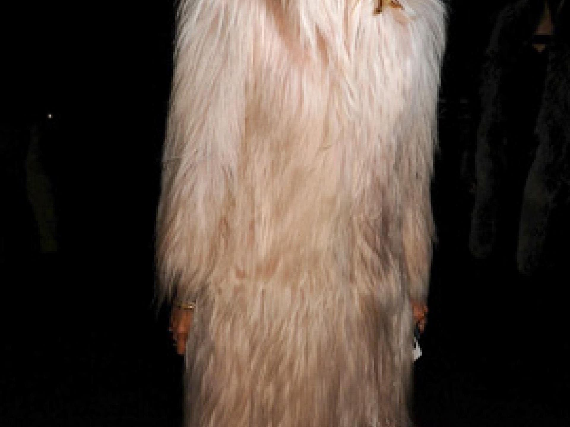 Carine Roitfeld im haarigen Mantel