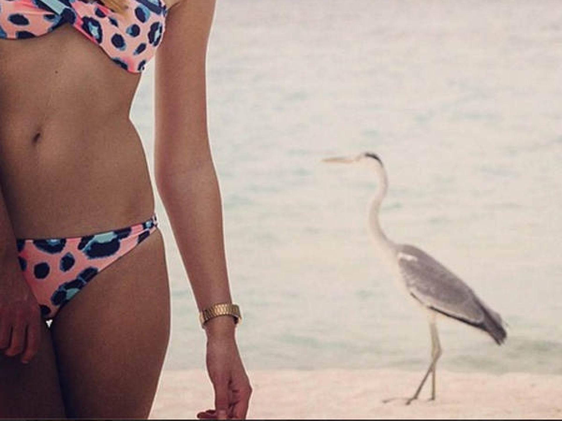 Stefanie Giesinger im Bikini