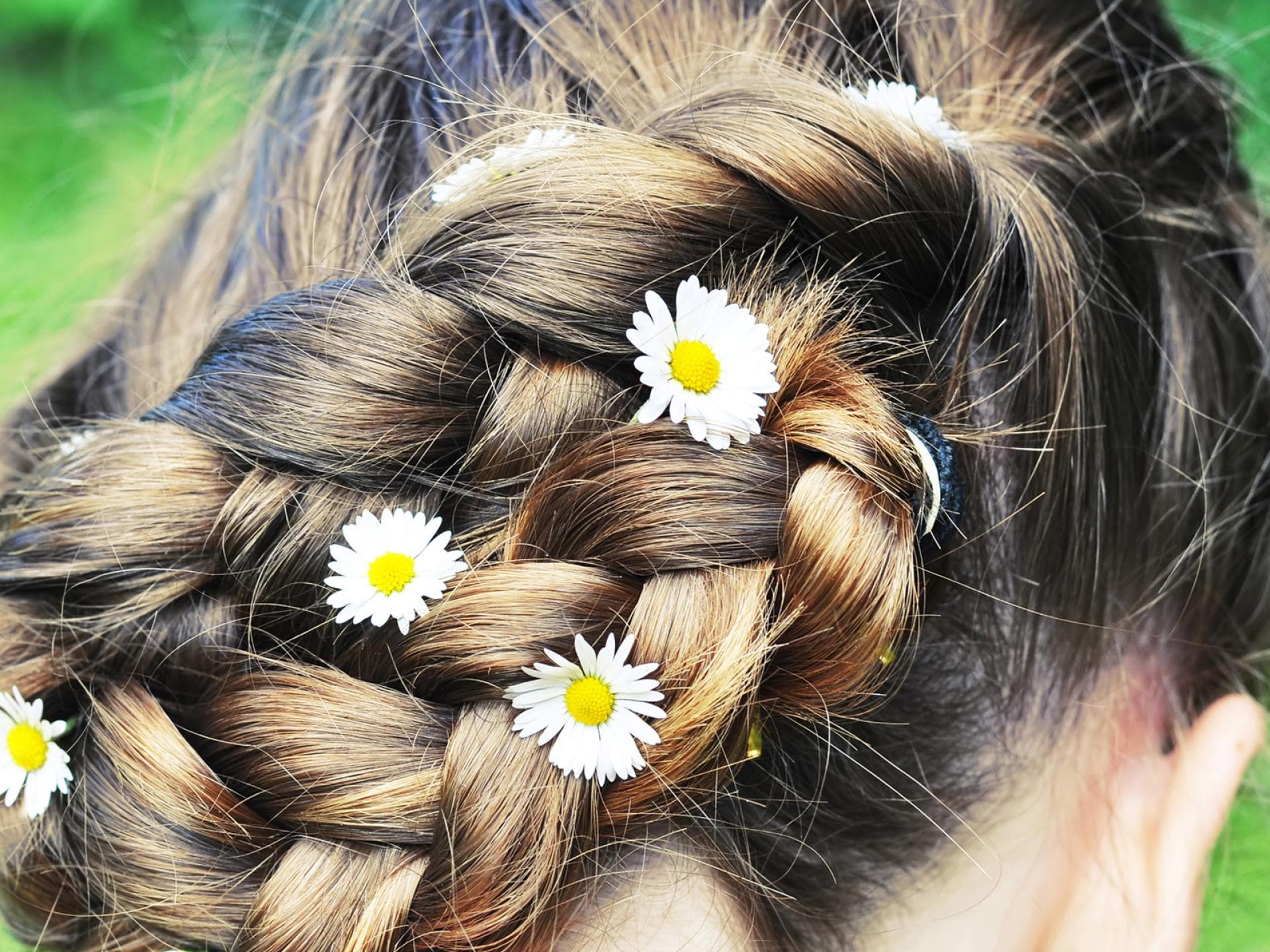 Geflochtene Haare quer Geflochtene Haare quer