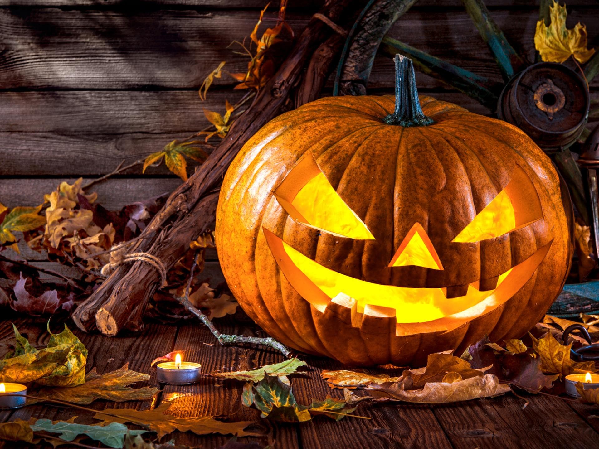 Halloween TTS quer