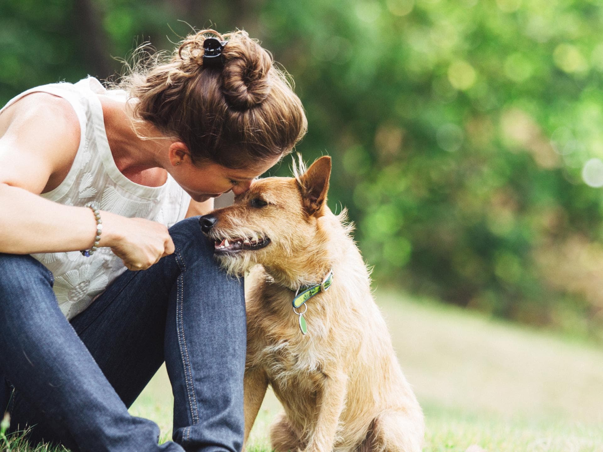 Tiere TTS quer Tiere TTS quer
