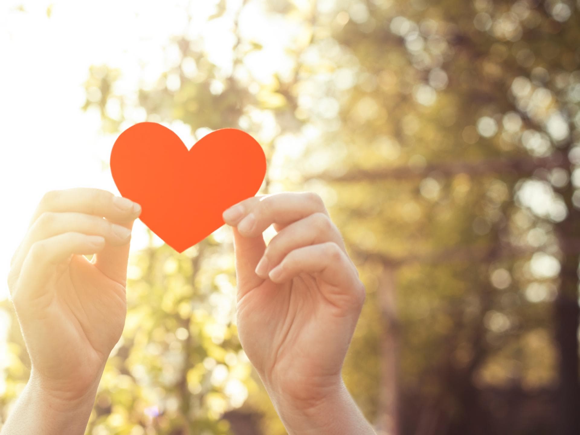 Valentinstag TTS quer Valentinstag TTS quer