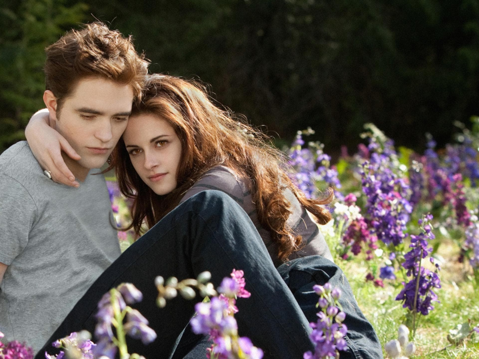 Twilight Saga quer
