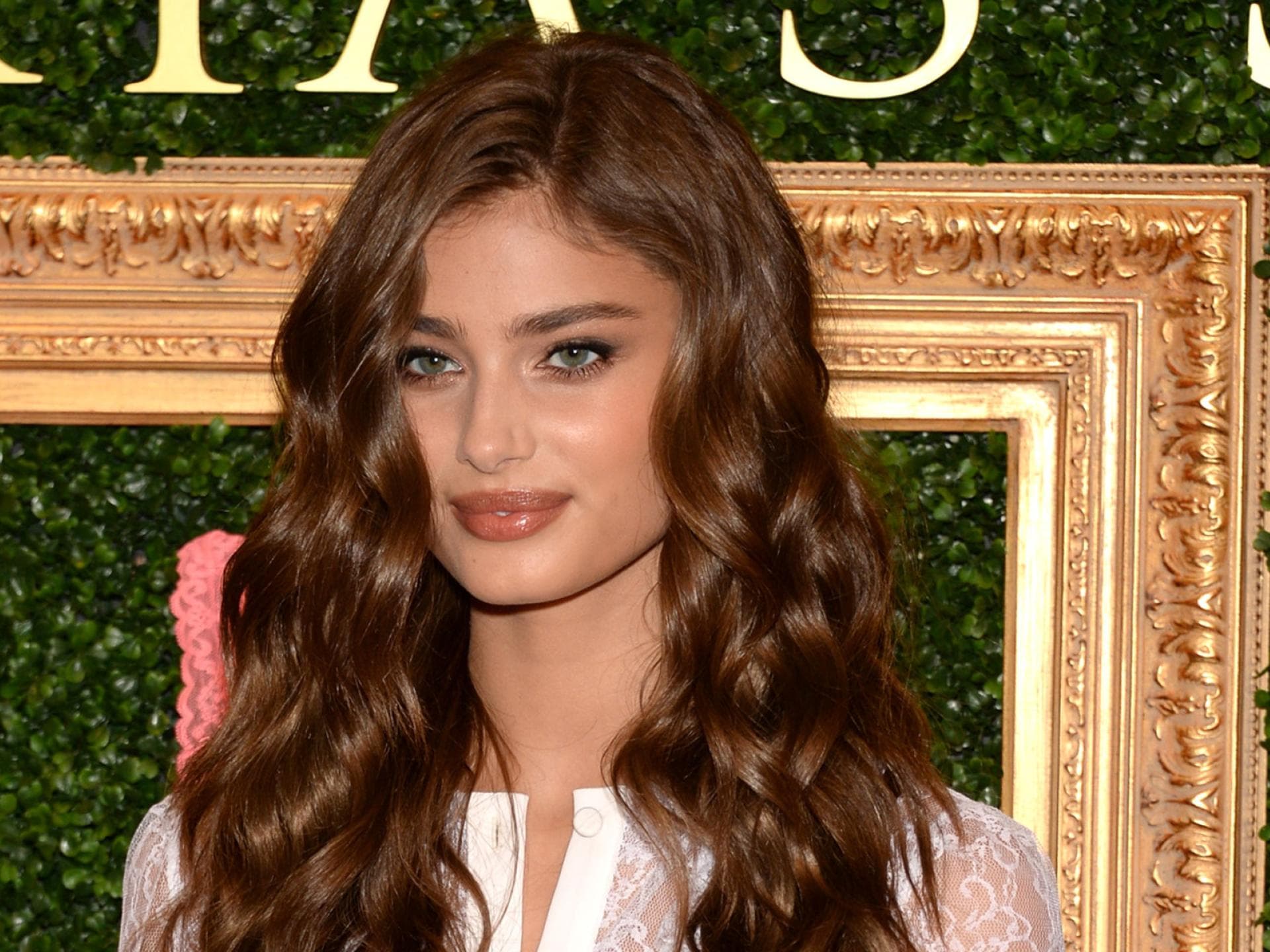 taylor-hill-quer taylor-hill-quer