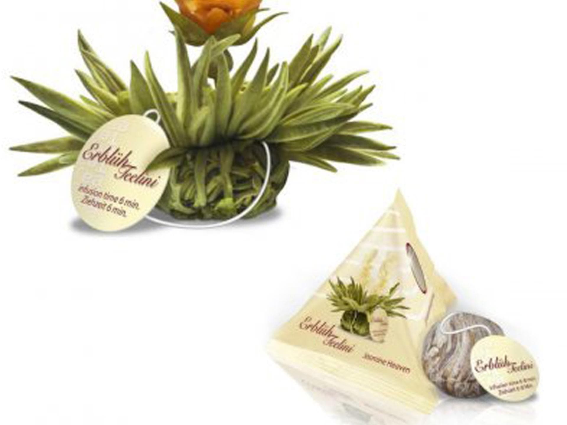 Teeblüten von Creano