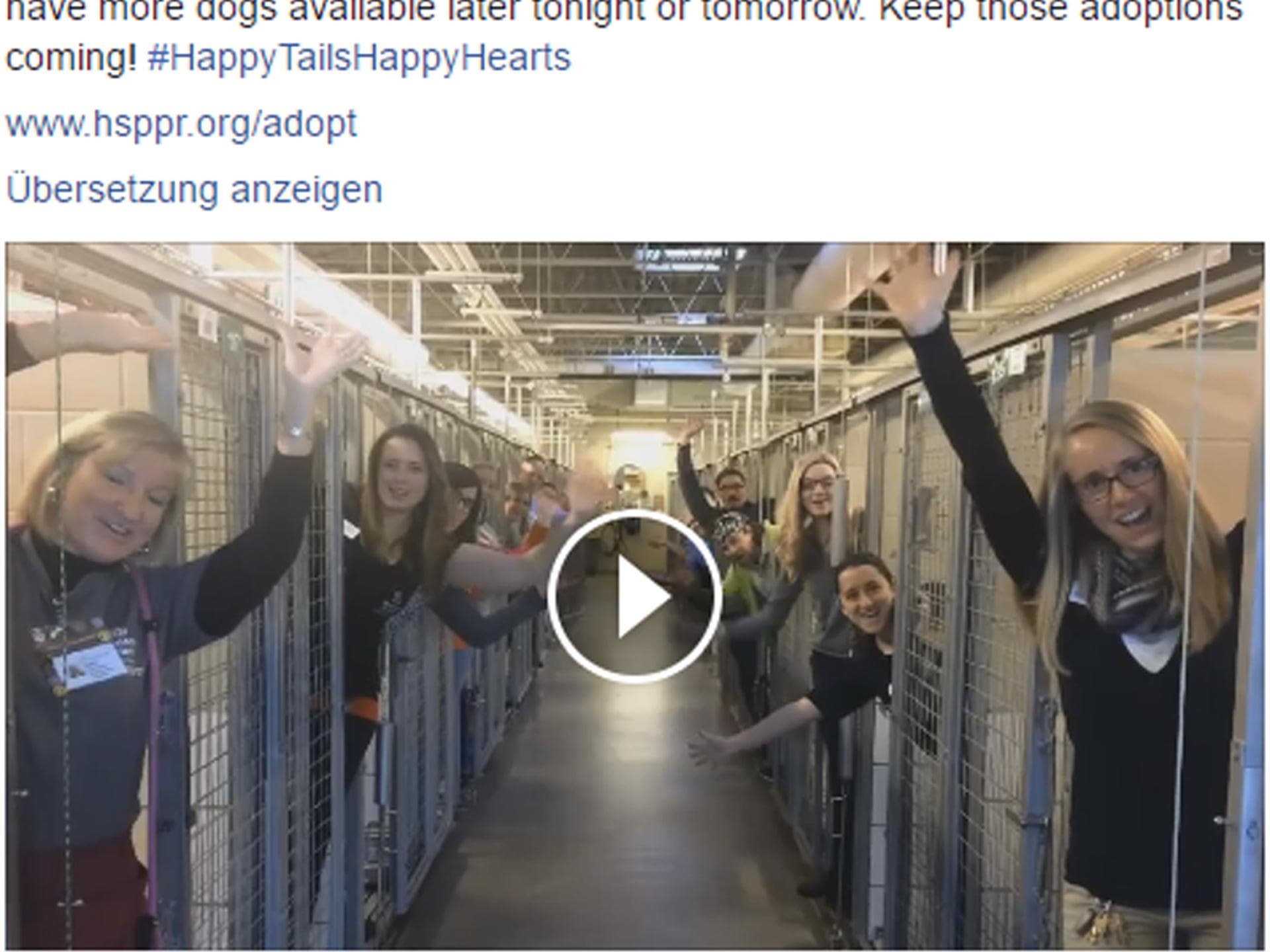 Alle Tierheim-Hunde haben ein neues Zuhause