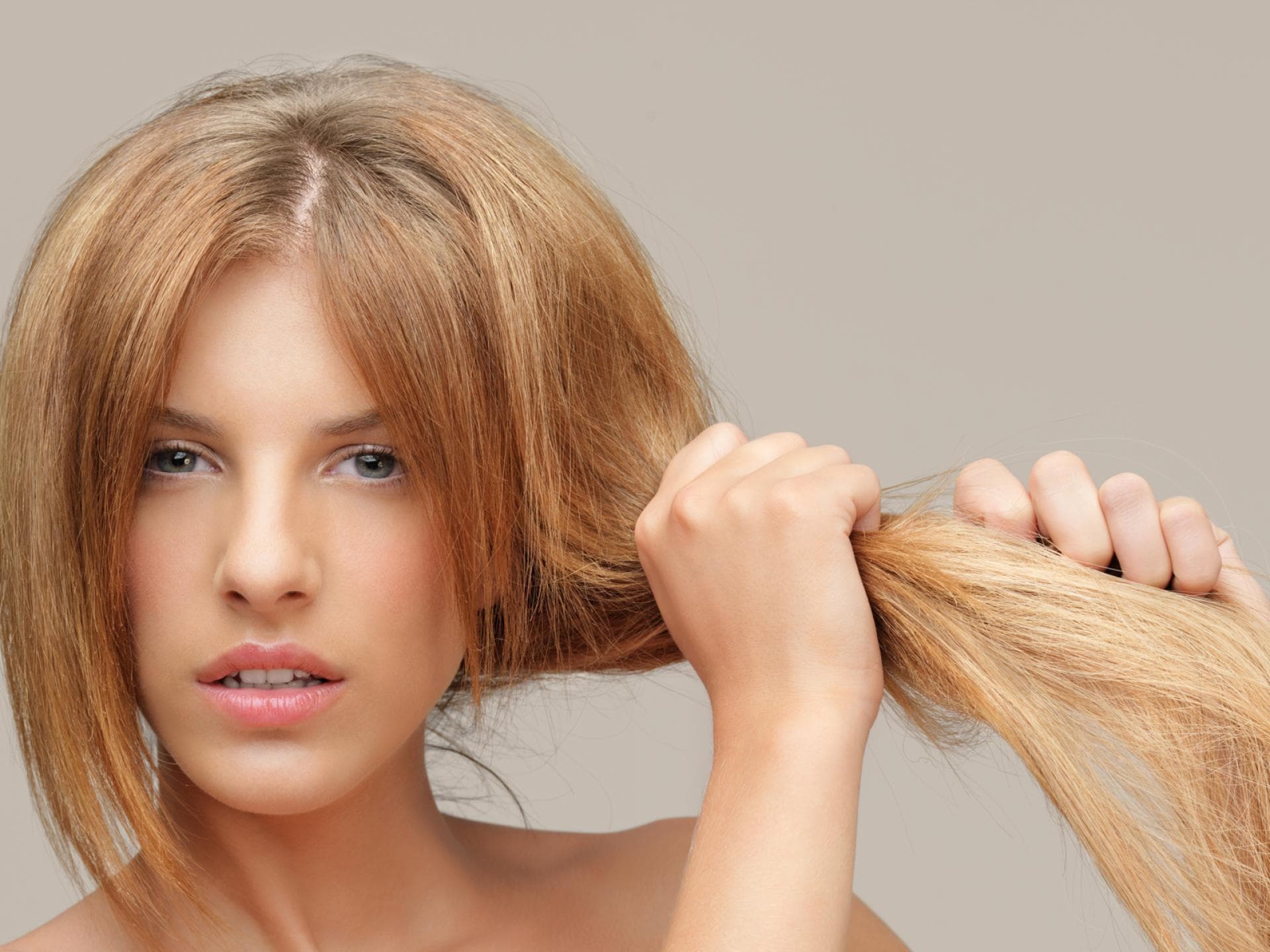Trockene Haare Trockene Haare