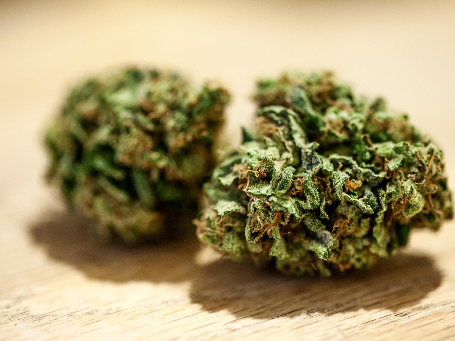 Cannabis-Ballen-inline Cannabis-Ballen-inline