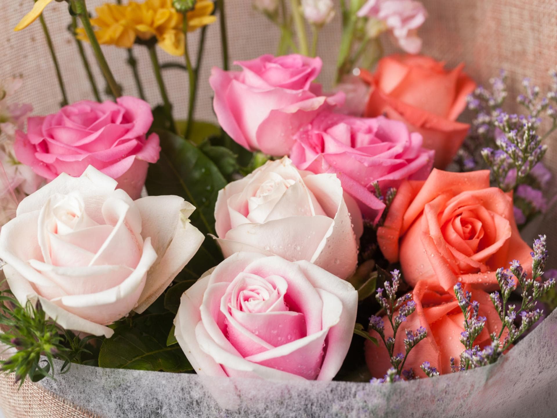 Sag's durch die Blume Sag's durch die Blume