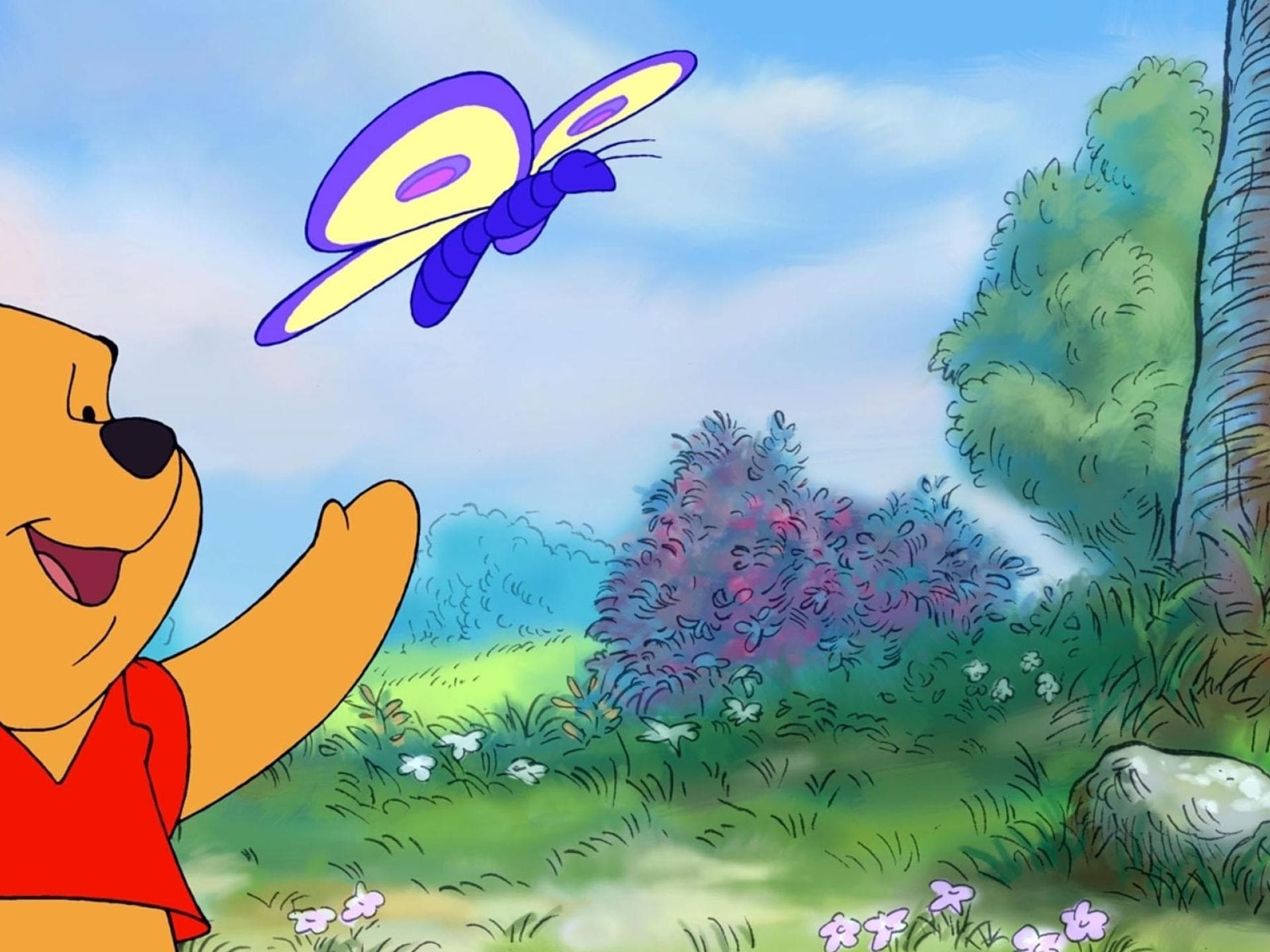 Winnie Pooh Realverfilmung Winnie Pooh Realverfilmung