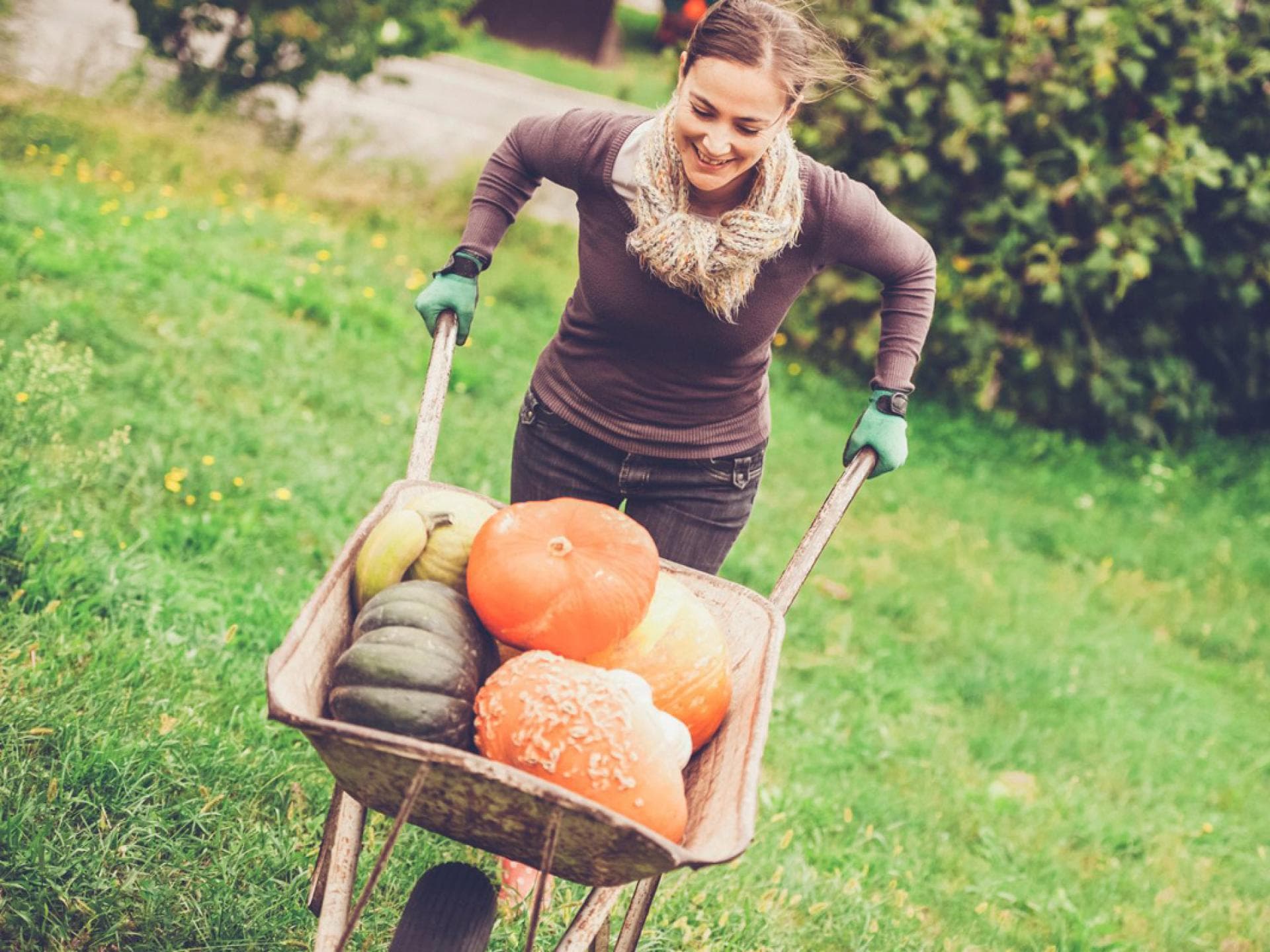 Kochen mit Kürbis ist so toll! Kochen mit Kürbis ist so toll!