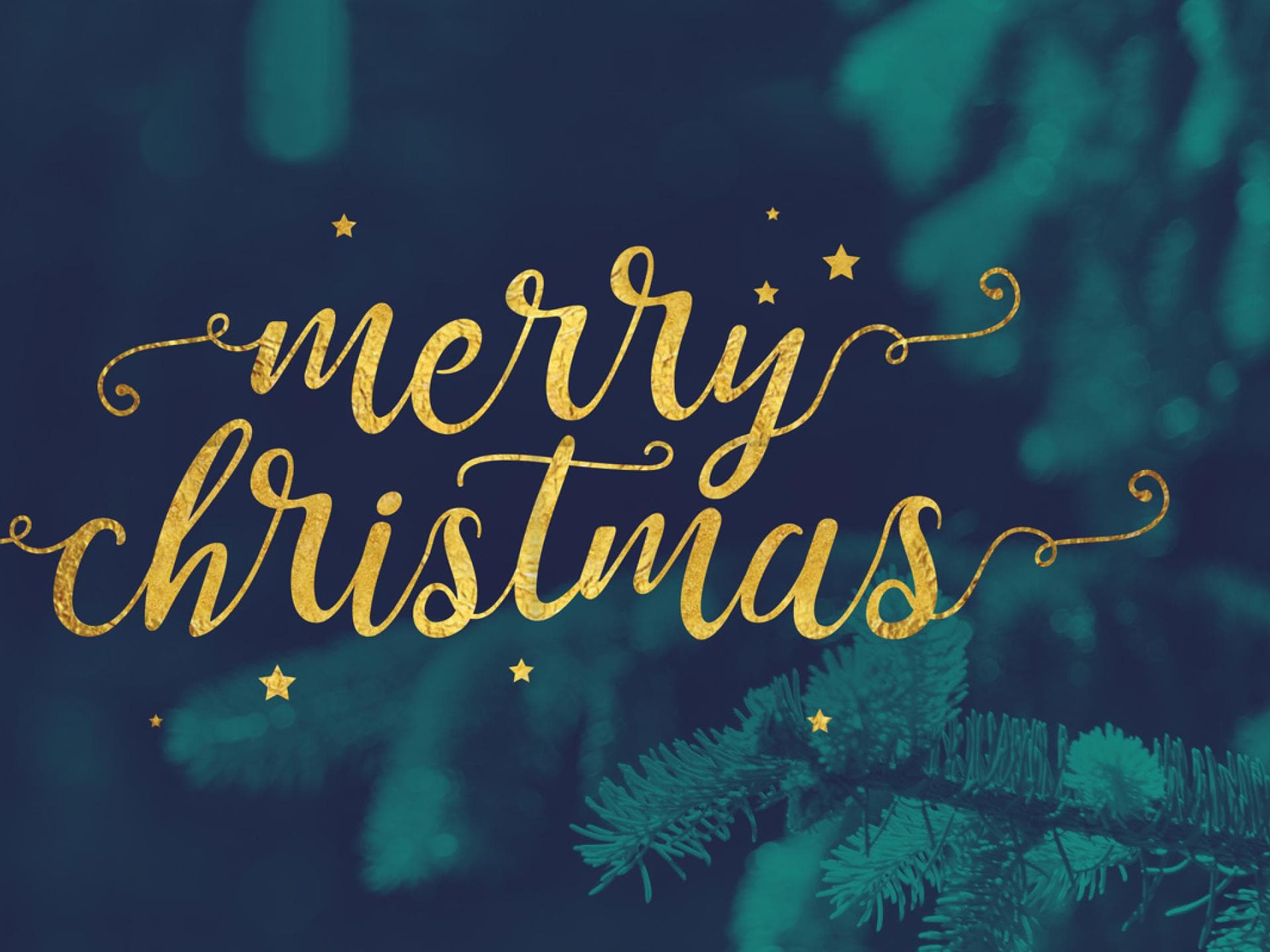 2. Du sollst keine Rachegelüste haben