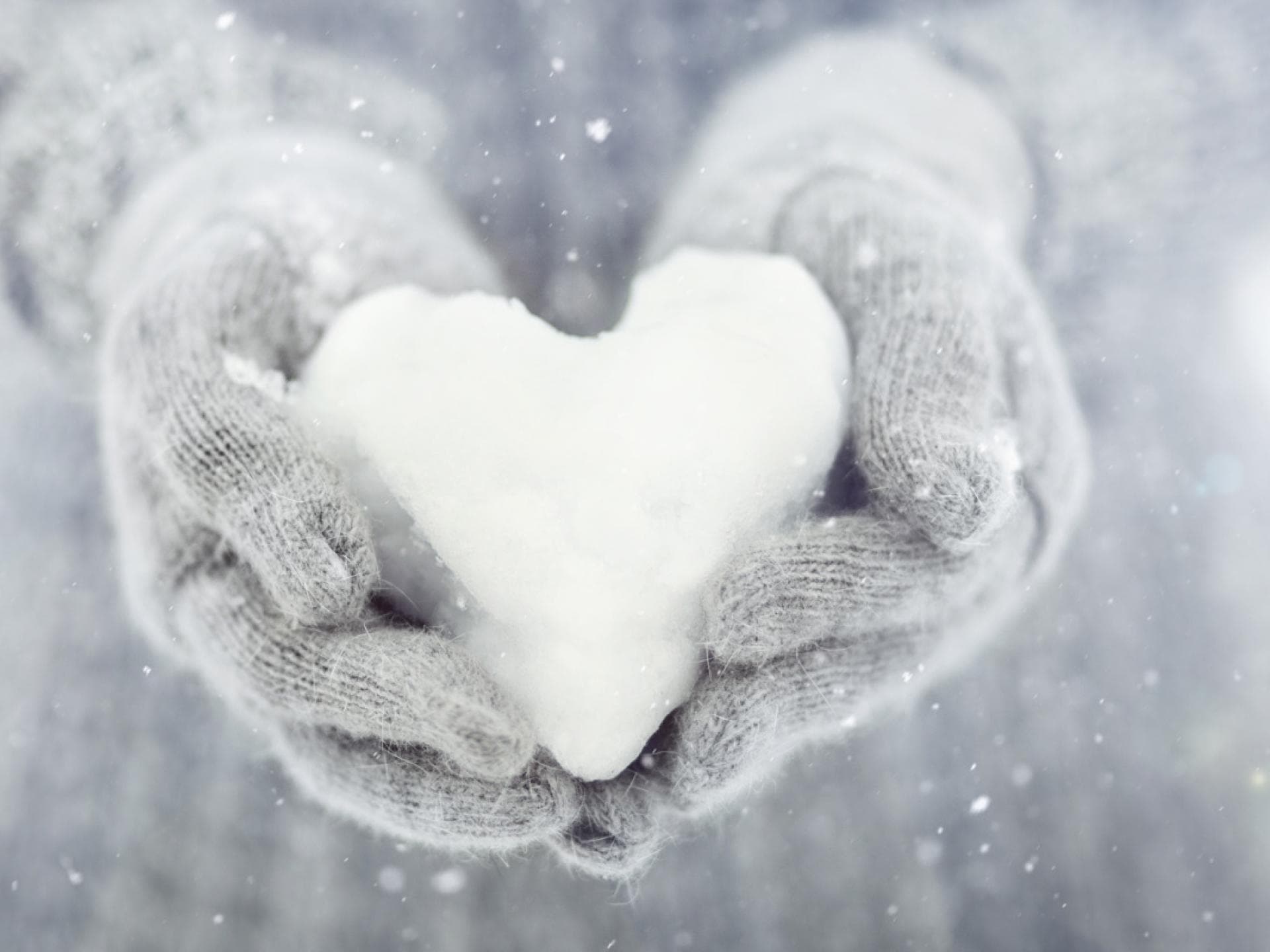 5. Du sollst nicht undankbar sein