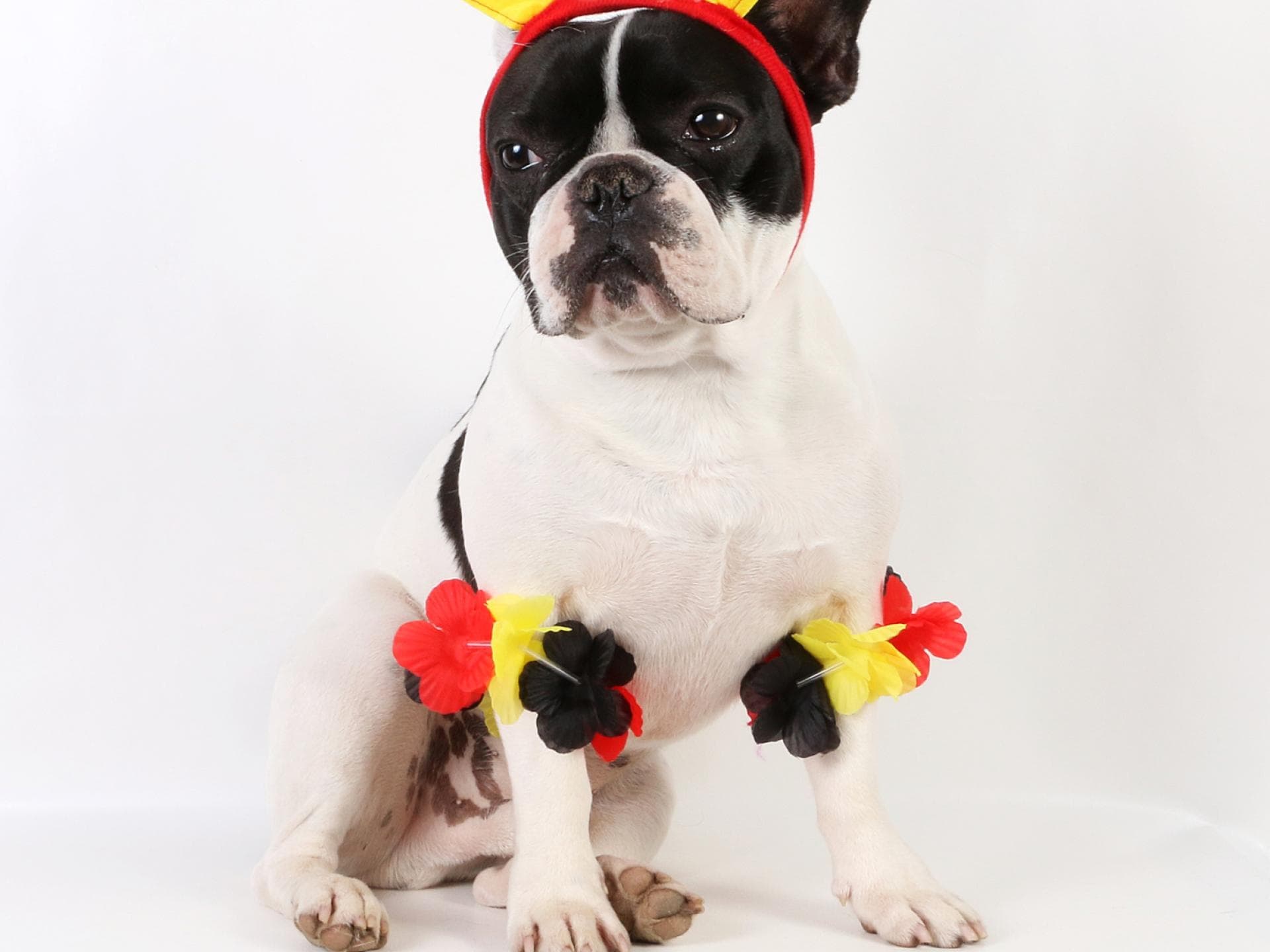iStock-939514002 iStock-939514002