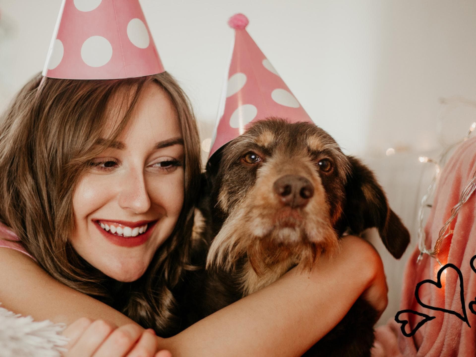 hunde-teaser-quer